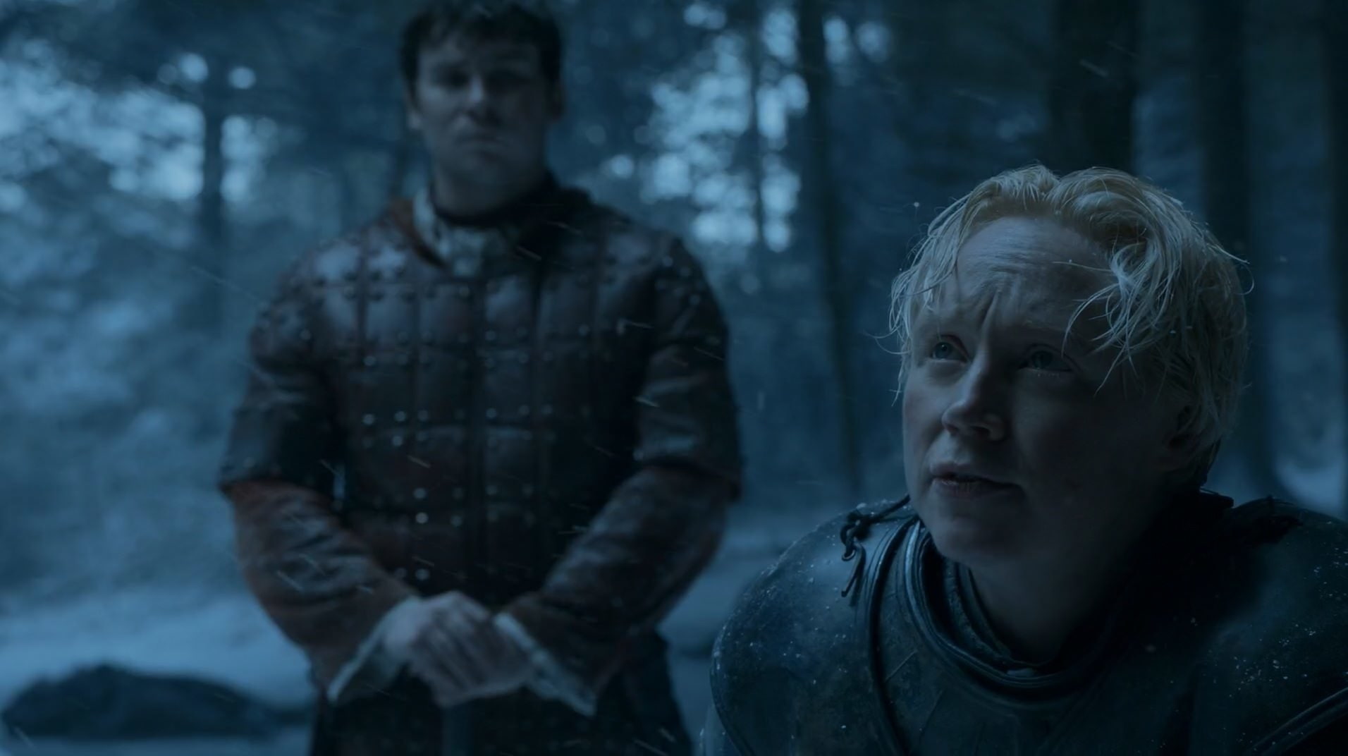 looking, men, government, two people, land, people, Game Of Thrones, military, headshot, waist up, son, portrait, forest, communication, Gwendoline Christie, HD Wallpaper