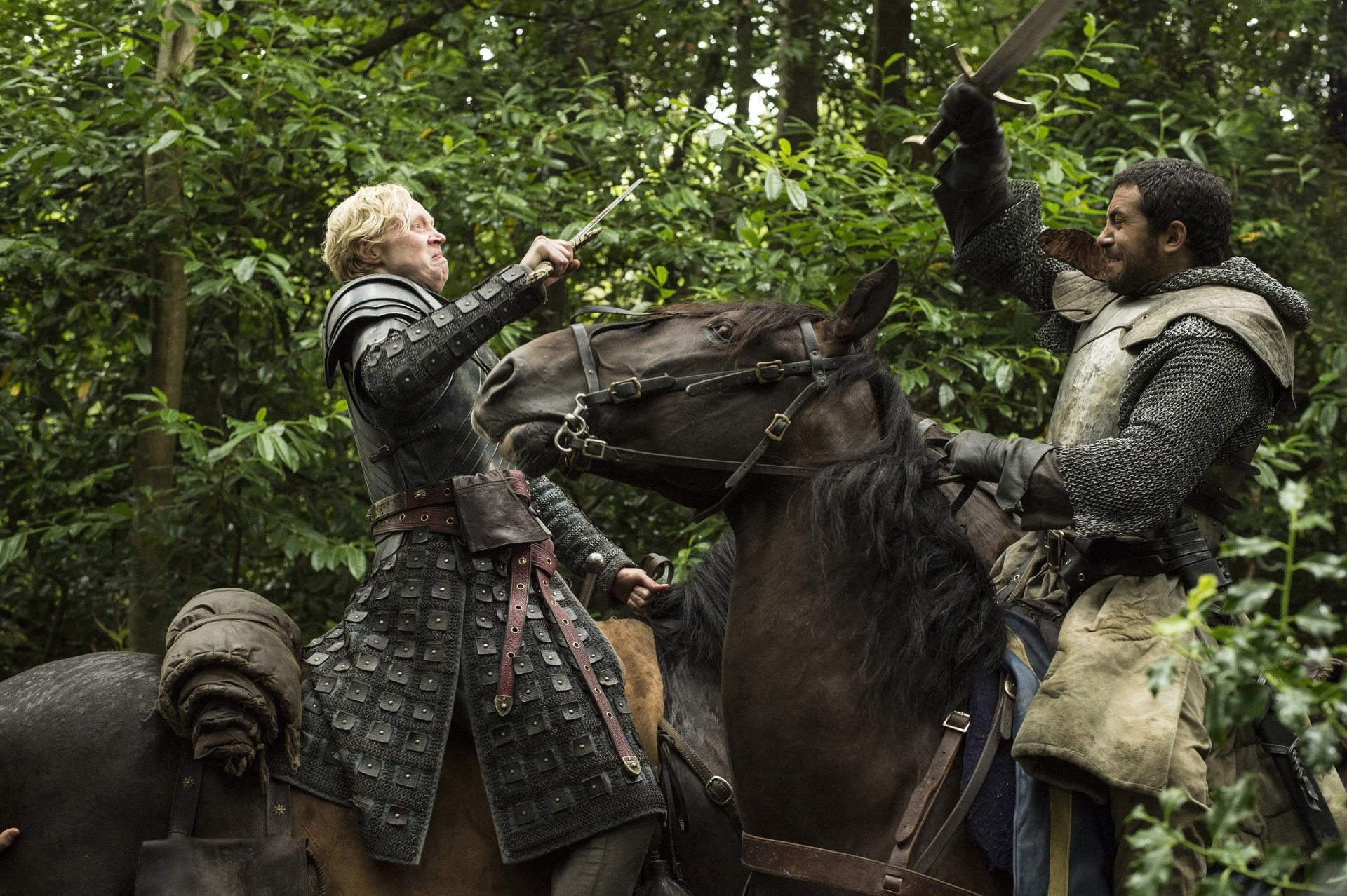 Game Of Thrones, Gwendoline Christie, TV Show, Brienne Of Tarth, 1080P, HD Wallpaper