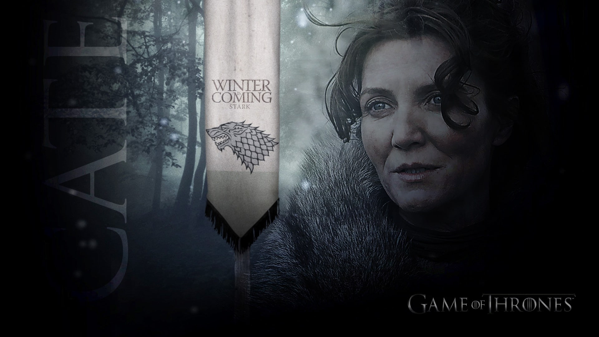 1080P, casual clothing, looking, hairstyle, portrait, real people, contemplation, adult, Game of Thrones, Catelyn Stark, mid adult, reflection, one person, HD Wallpaper