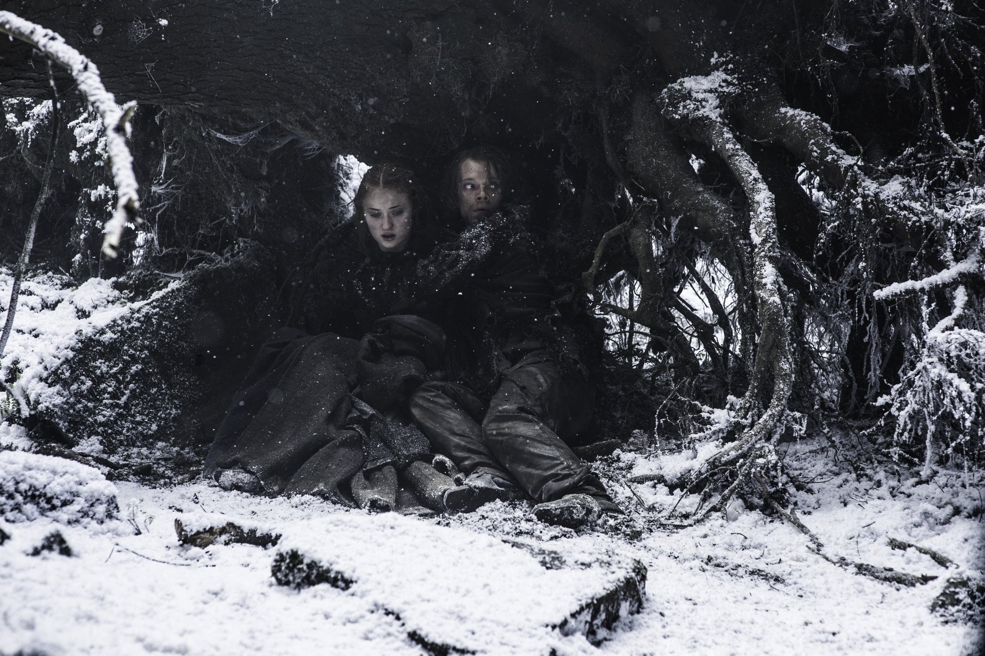 1080P, Theon Greyjoy, TV Show, Game Of Thrones, Sophie Turner, Sansa Stark, Alfie Allen, HD Wallpaper