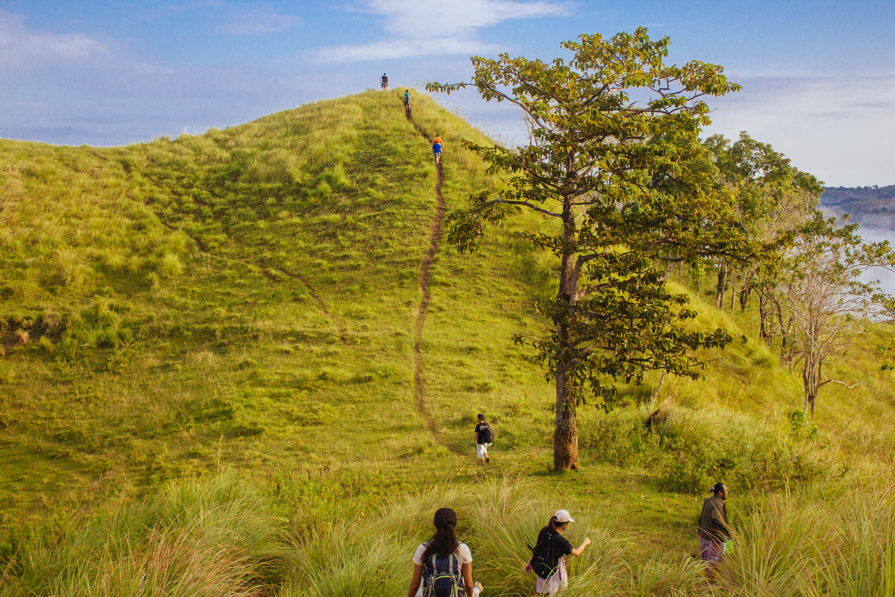 green, mountain, hills, trees, men, leisure activity, adult, tree, blue, activity, environment, non-urban scene, grass, plant, philippines, people, sea of clouds, HD Wallpaper