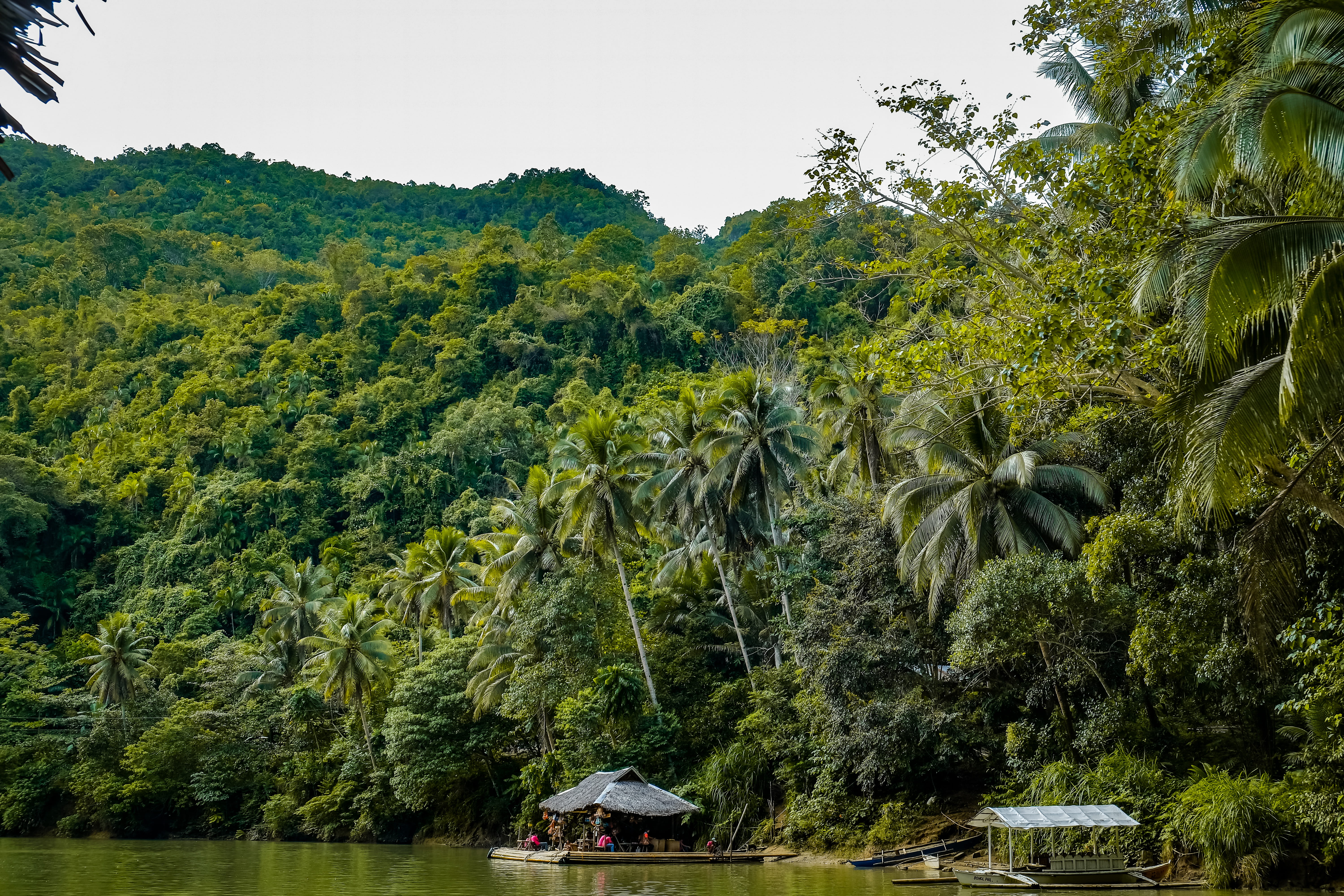 human, river, no people, countryside, sky, foliage, day, beauty in nature, tranquil scene, person, summer, hut, outdoors, rural, plant, rainforest, growth, HD Wallpaper