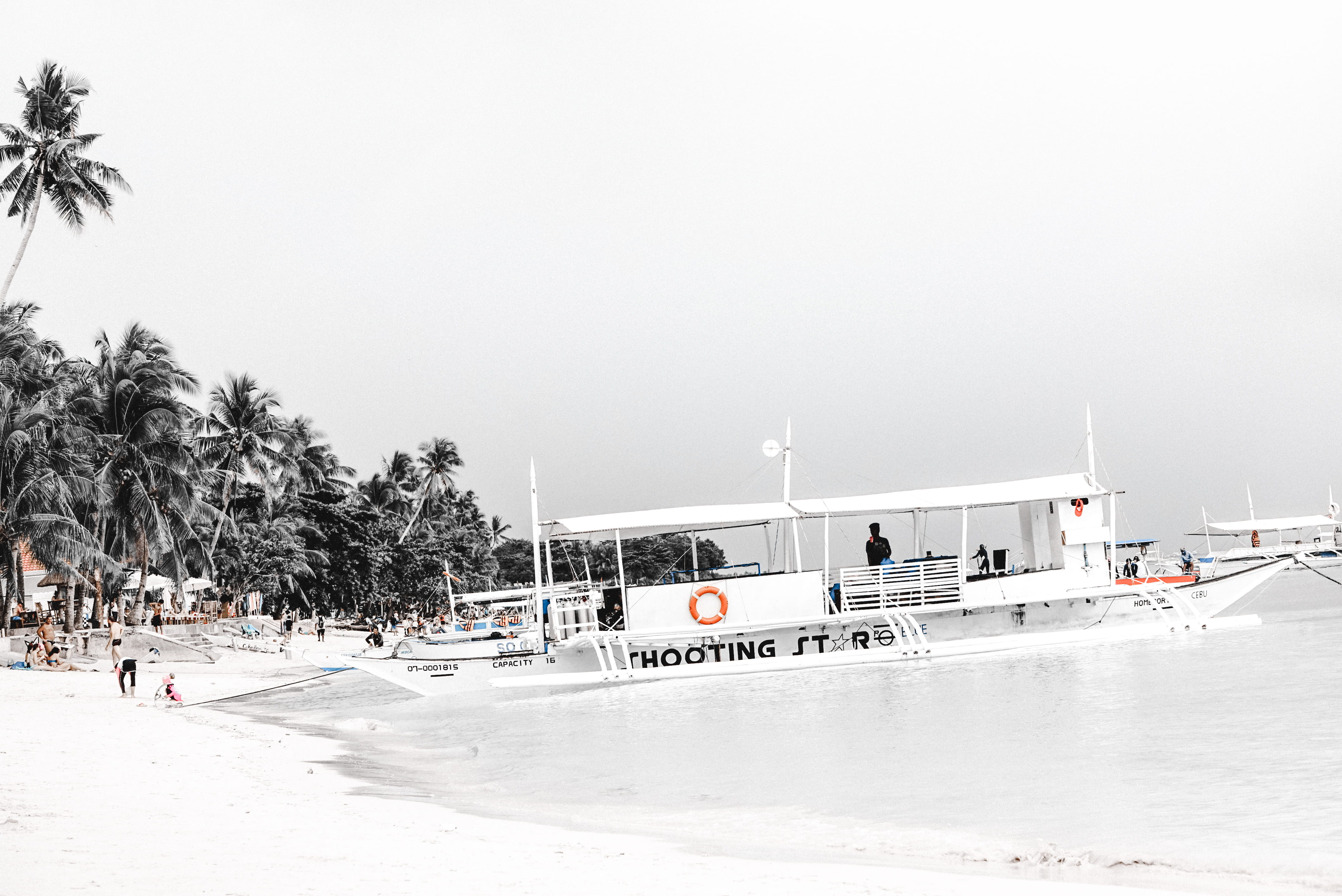 near, outdoors, clear sky, watercraft, day, land, copy space, city, water, mode of transportation, white, grey, boat, travel, sea, 4K, arecaceae, vessel, HD Wallpaper
