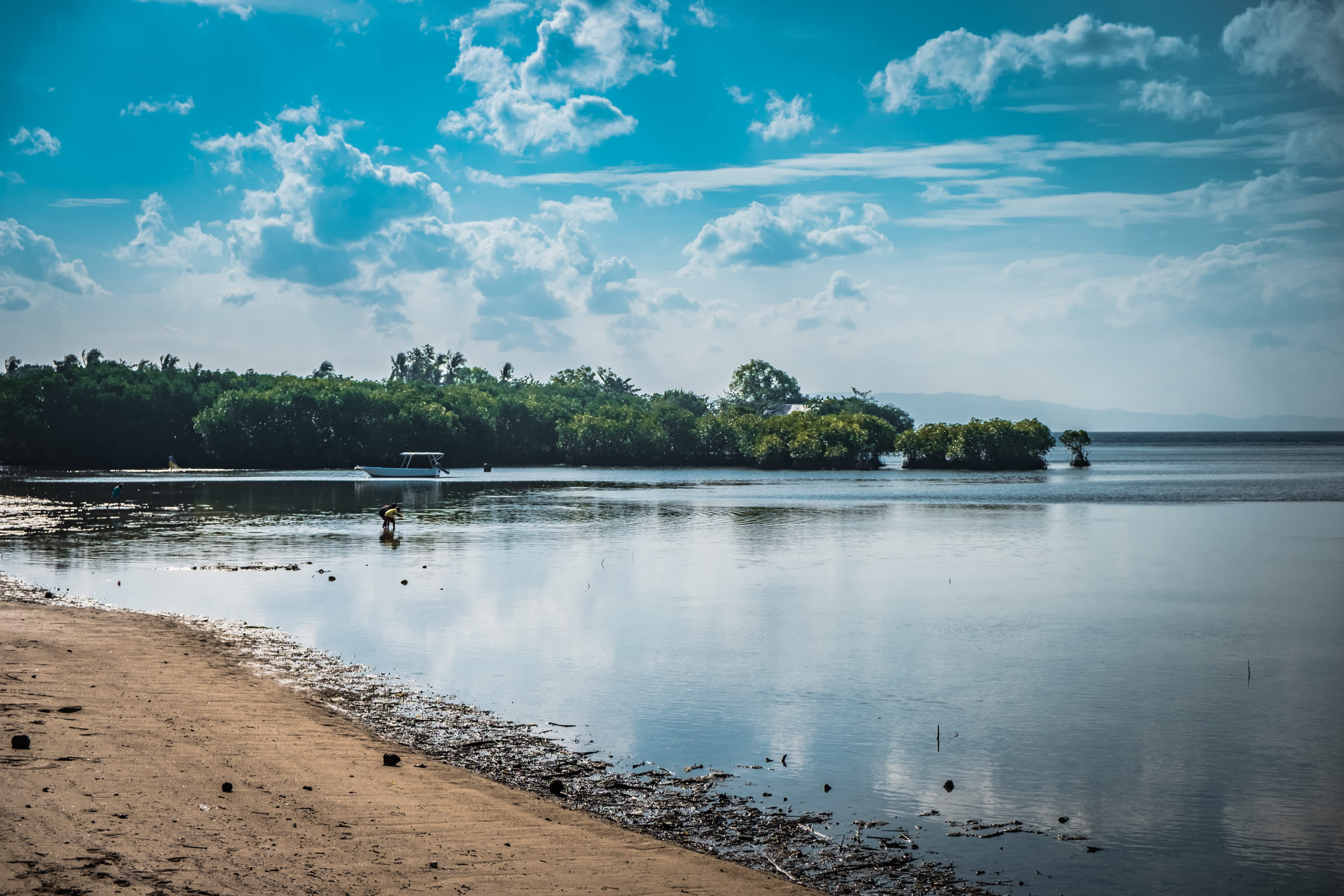 plant, tourist, nature, tourism, tranquil scene, non-urban scene, tree, travel, land, bohol, 2K, sea, day, reflection, sky, scenics - nature, tranquility, HD Wallpaper