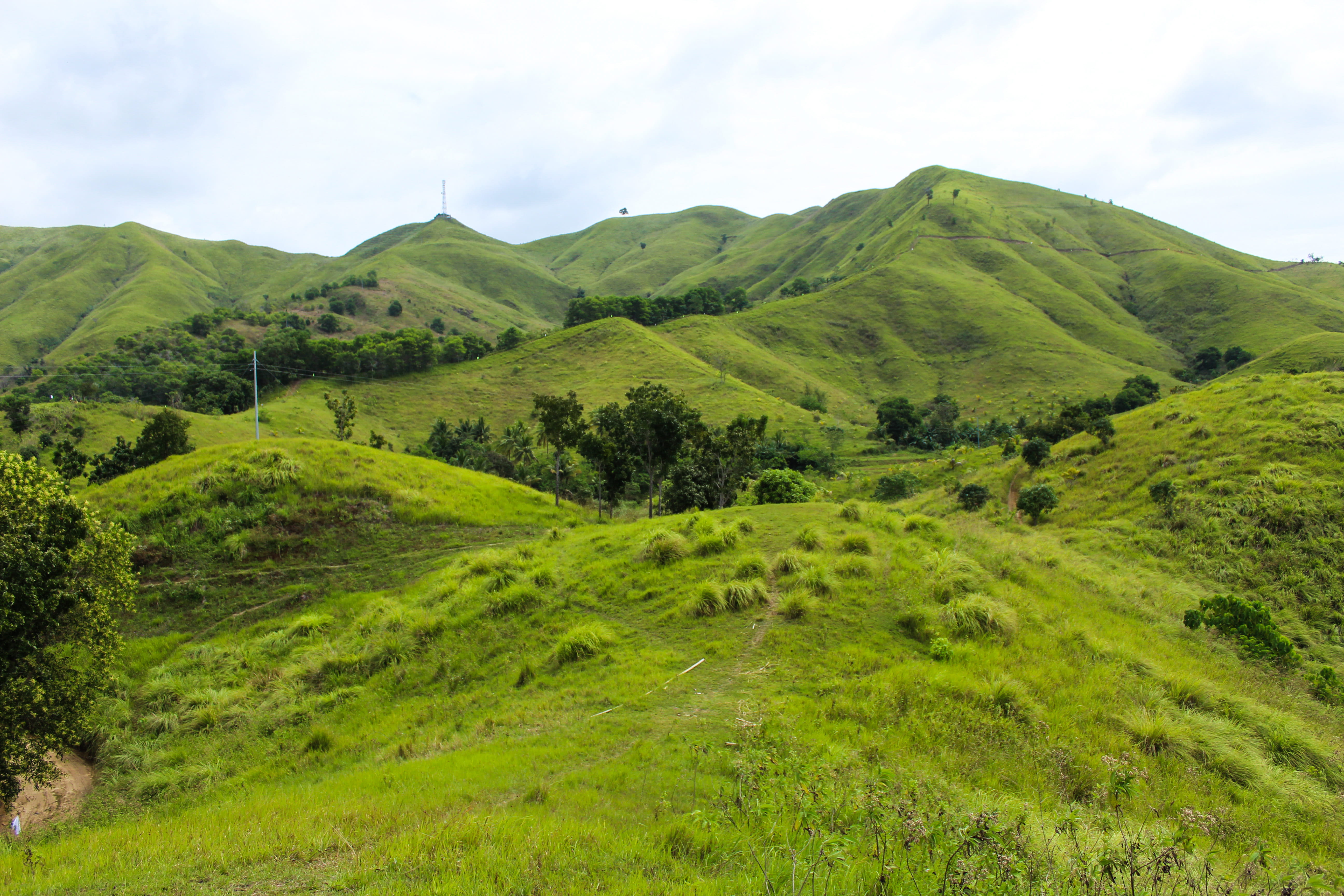 growth, tranquil scene, plant, philippines, beauty in nature, no people, bohol, cloud - sky, photoblogger, land, day, grass, sky, tranquility, bohol blogger, HD Wallpaper