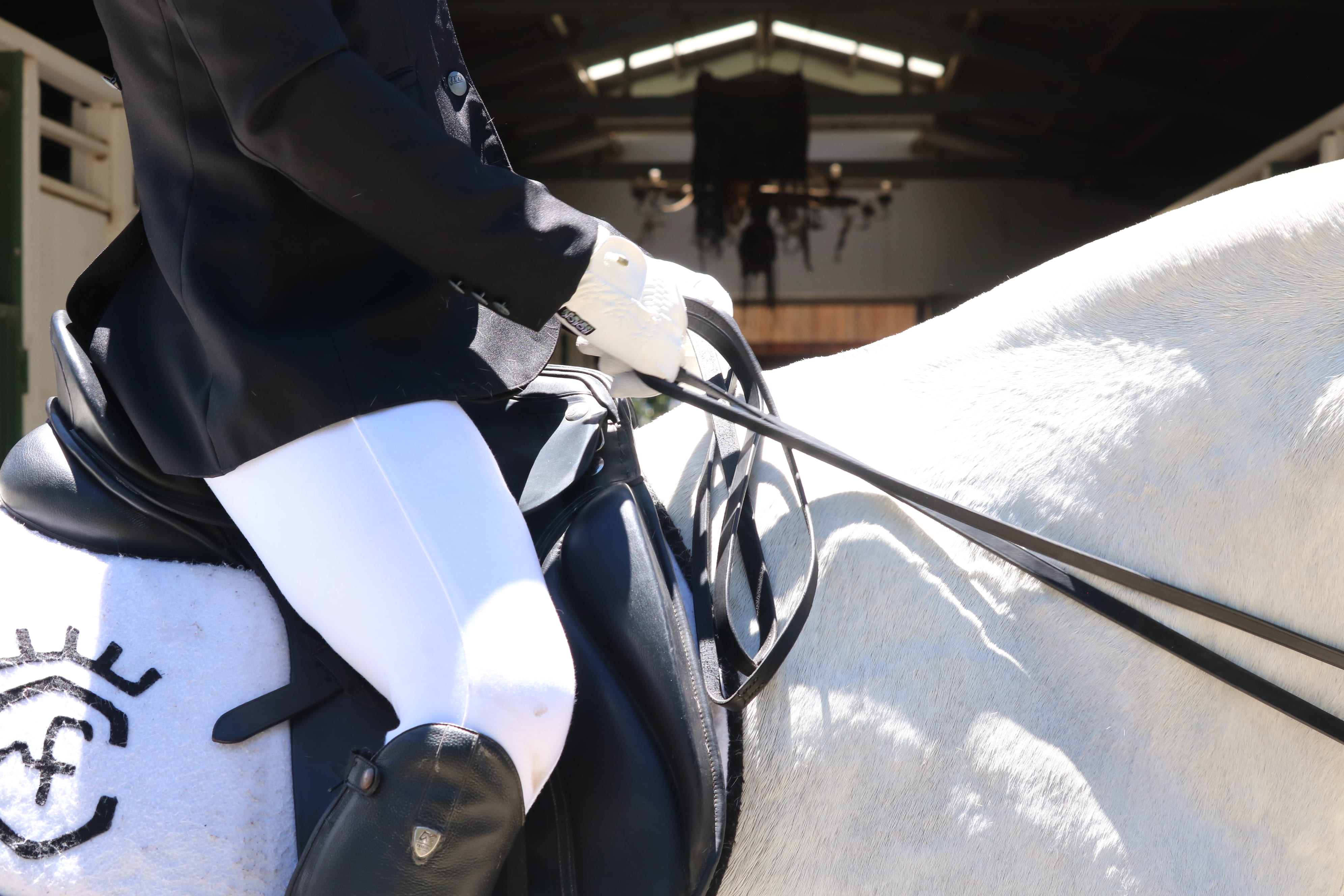 outdoors, shadow, transportation, human limb, human hand, holding, 4K, discipline, saddle, real people, horse rider, jodhpurs, occupation, human body part, HD Wallpaper