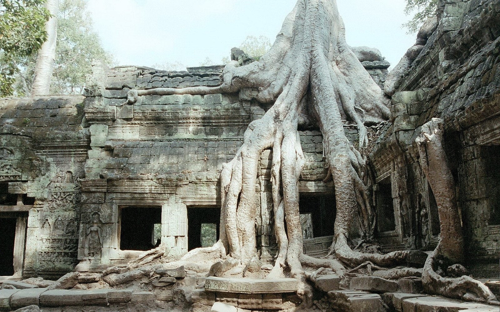 720P, Temples, Ta Prohm, HD Wallpaper