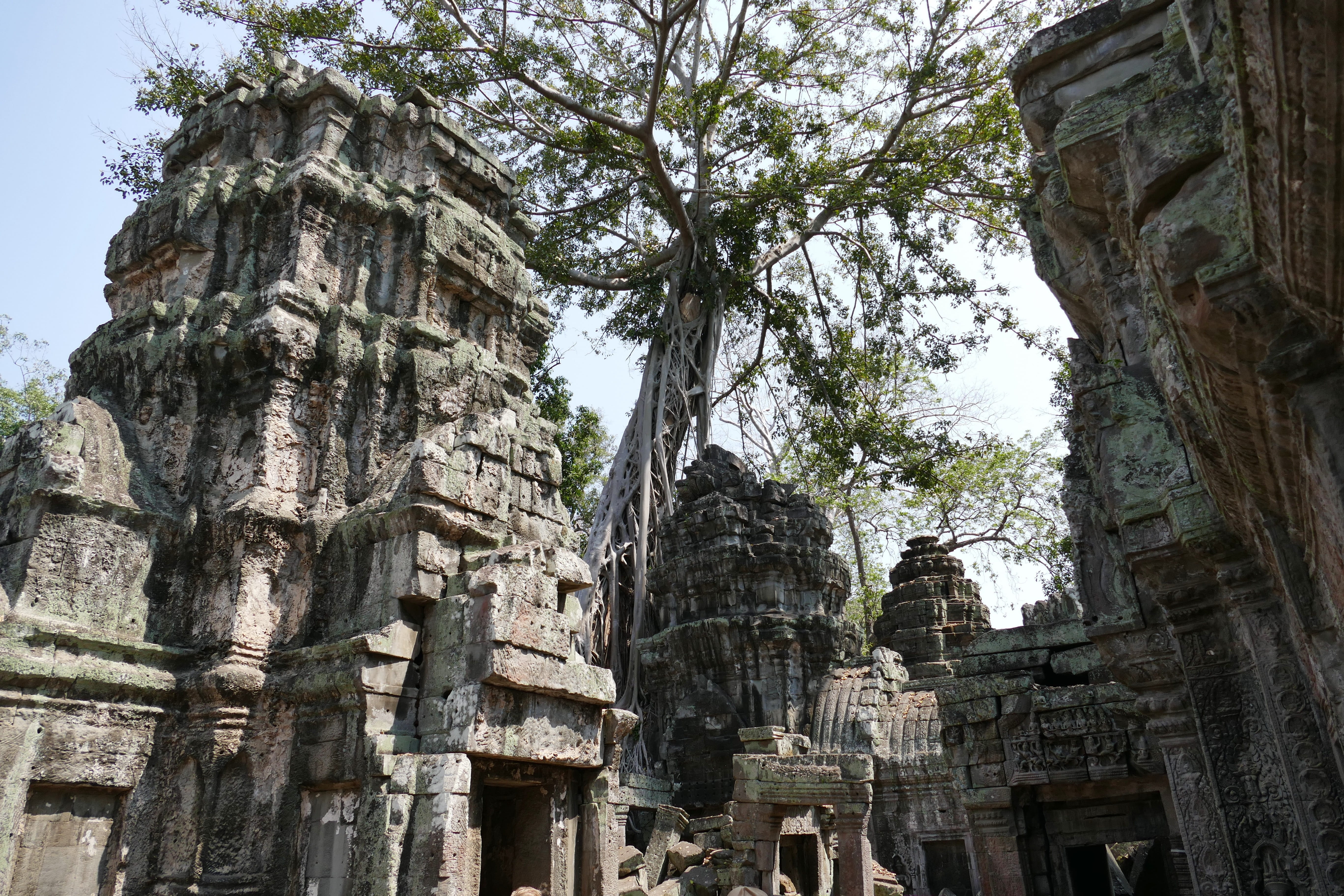 architecture, day, ancient, places of interest, angkor, the past, world heritage, deterioration, old ruin, tree root, outdoors, spirituality, ruined, history, HD Wallpaper