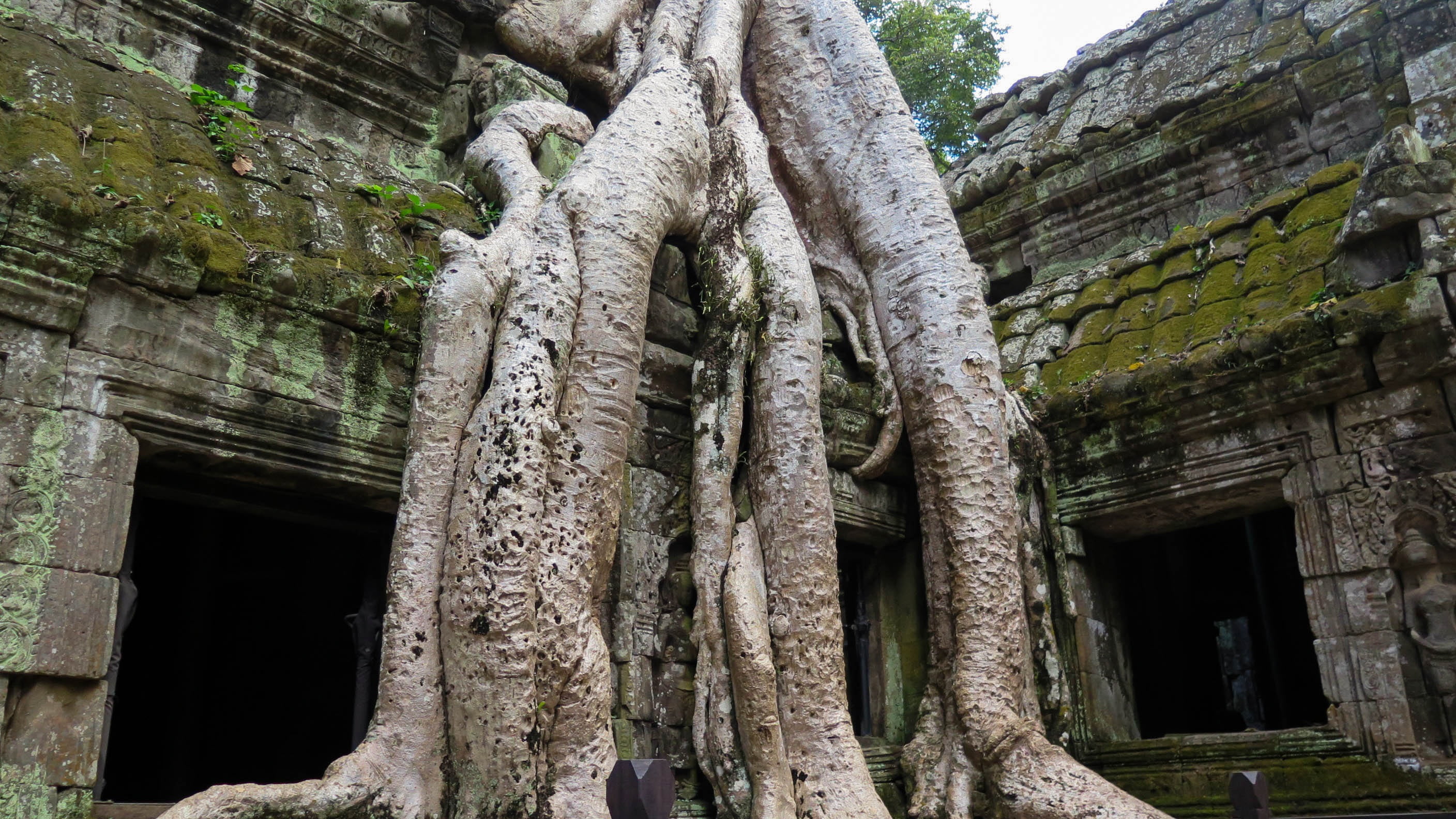 no people, ruined, architecture, wat, temple, built structure, ancient civilization, old Ruin, building, statue, ta prohm, day, old, famous Place, outdoors, HD Wallpaper