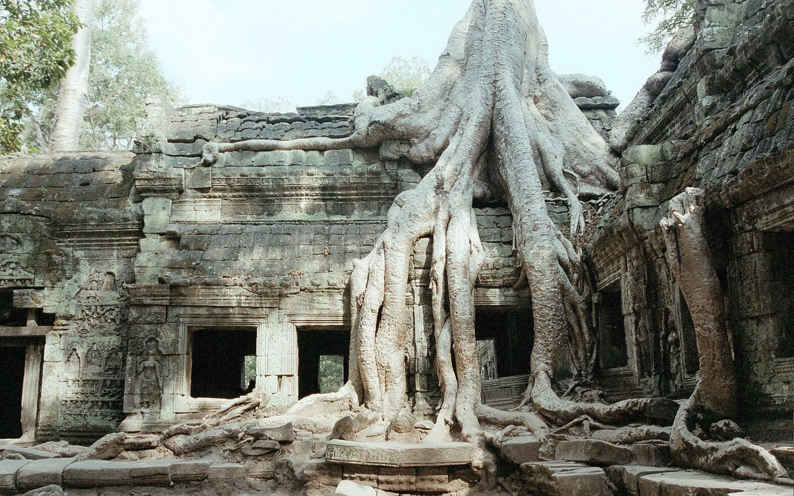 ta prohm, 720P, HD Wallpaper