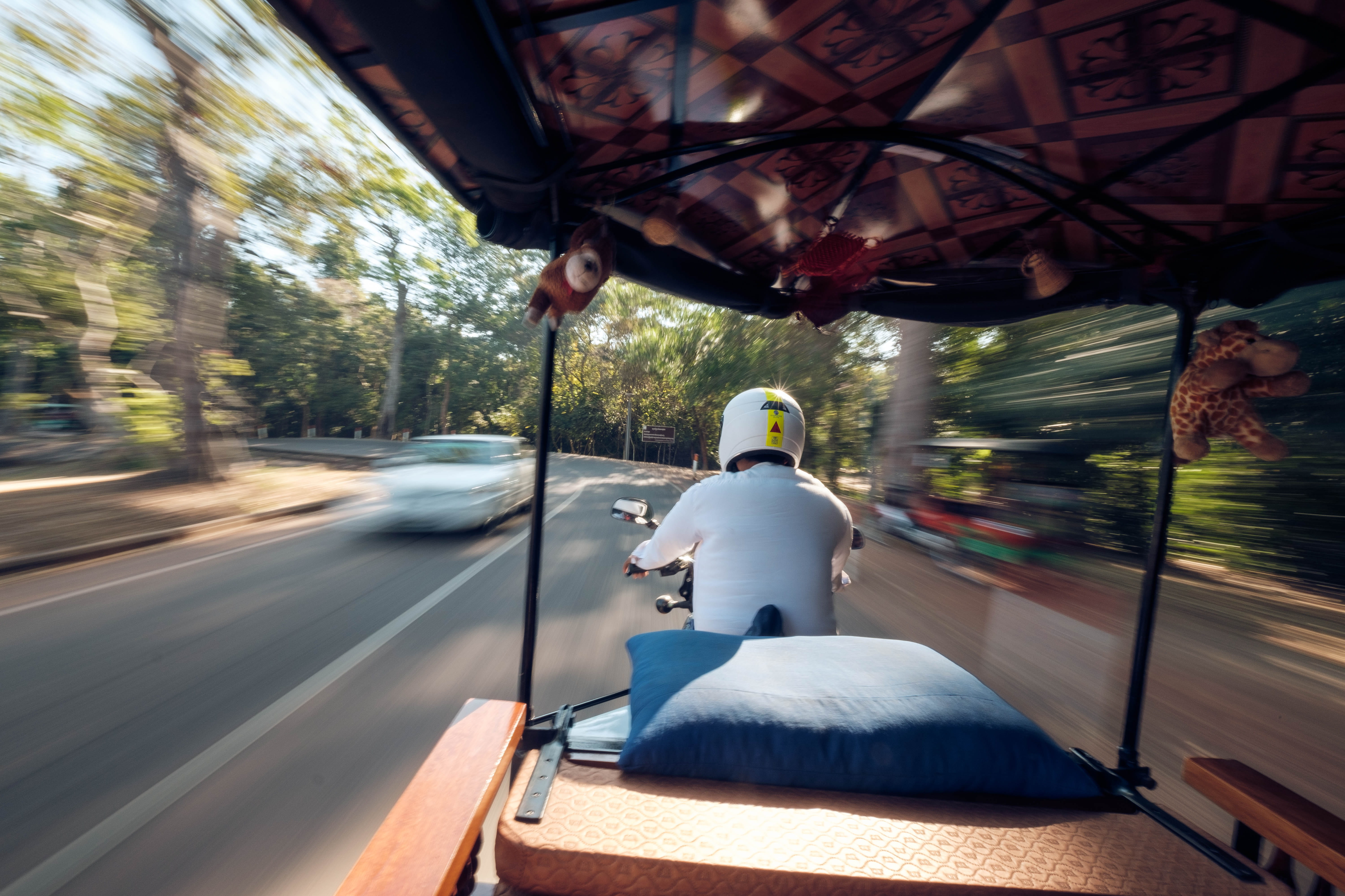 glass - material, angkor wat, lapse, architecture, motion blur, road, travel, outdoors, tree, transparent, plant, daytime, day, riding, 5K, sitting, motion, HD Wallpaper