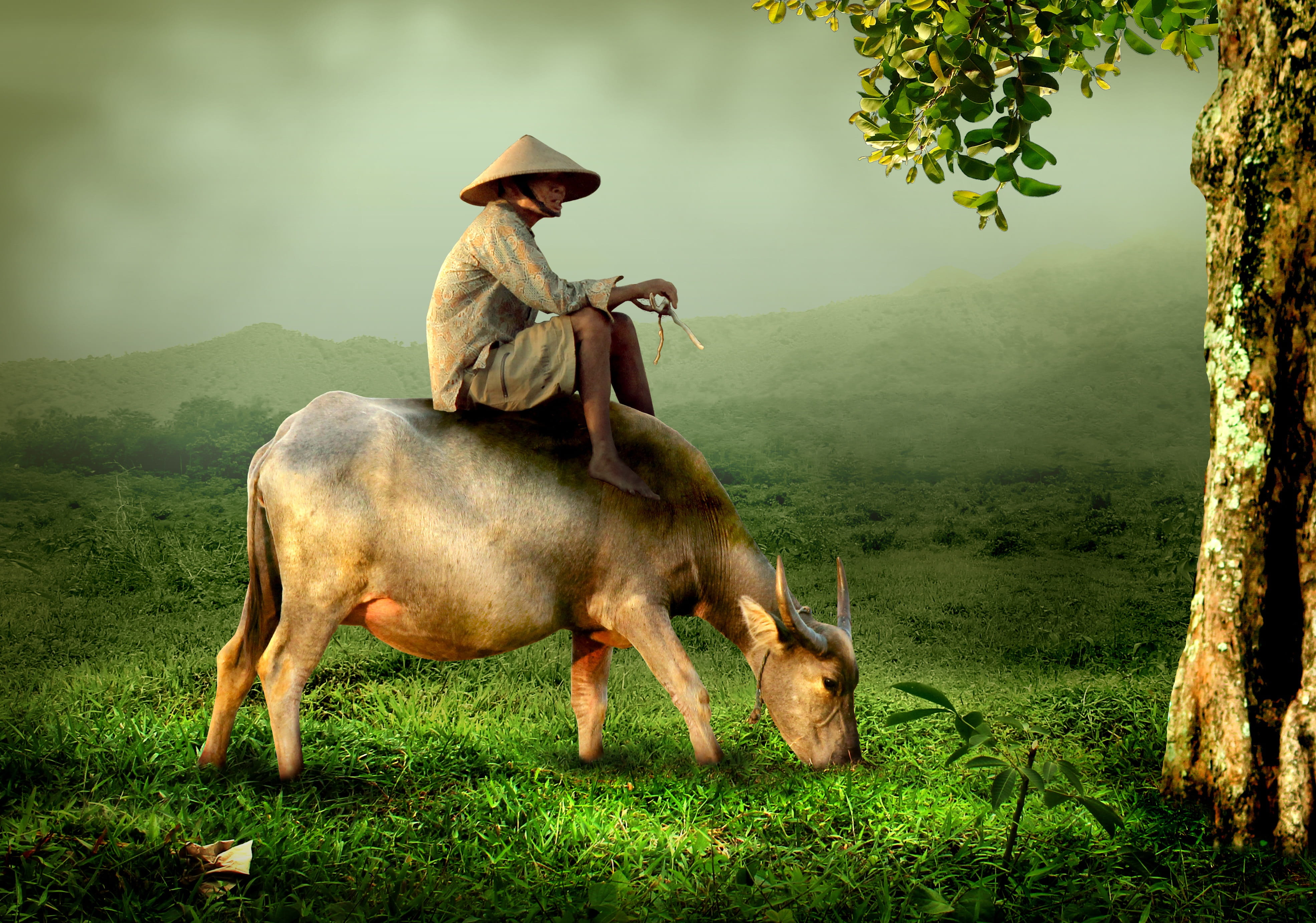 man, tree, vertebrate, herbivorous, horse, meadow, animal, domestic animals, grass, Asian, land, riding, shepherd, sitting, livestock, outdoors, HD, HD Wallpaper
