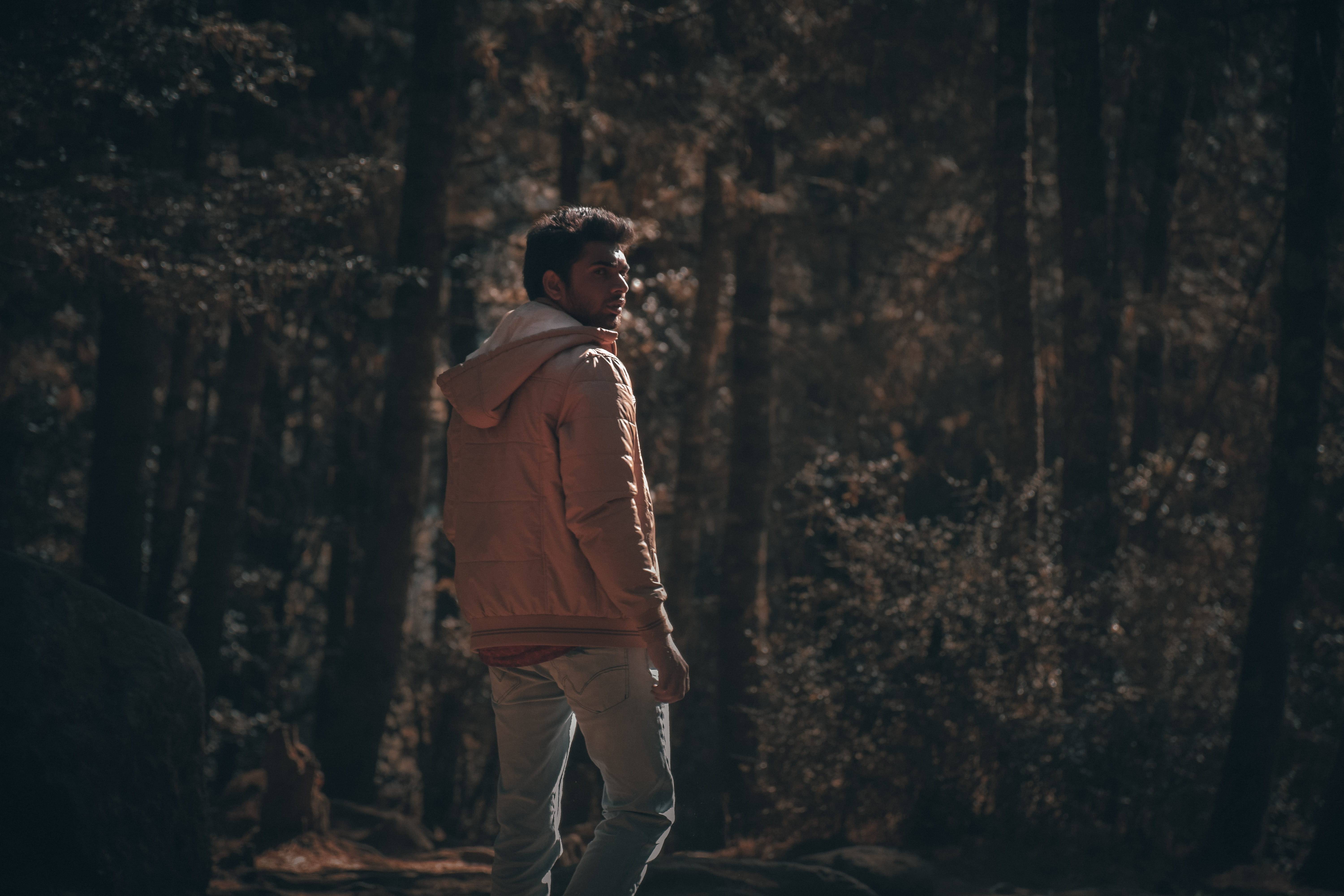 jungle, leisure activity, looking, real people, side view, takstang, young men, standing, 5K, bhutan, trekking, paro, day, trees, adventure, plant, one person, HD Wallpaper