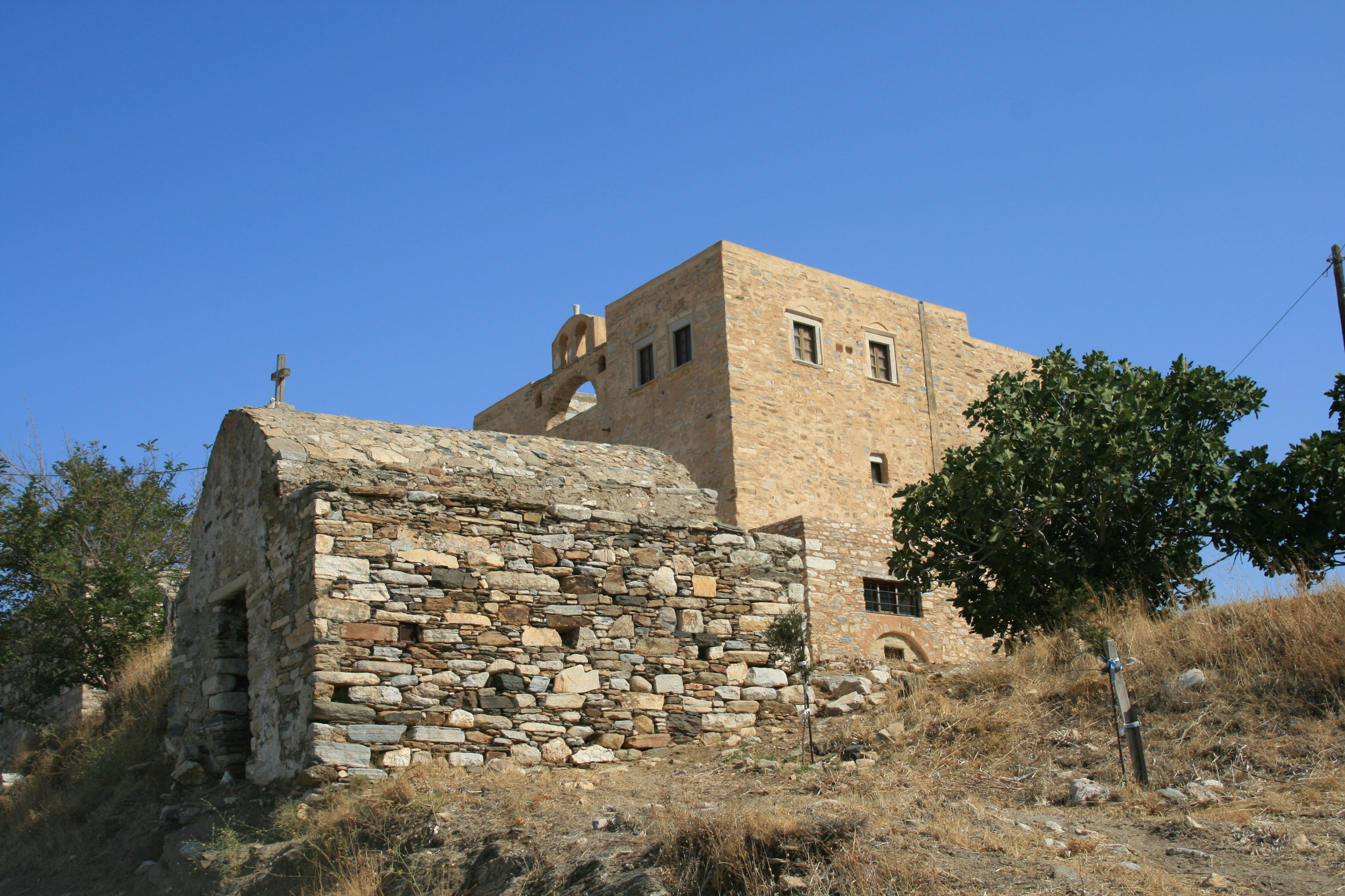 tree, architecture, building exterior, animal, the old town, plant, stone wall, sky, building, day, copy space, monuments, 4K, built structure, paros, HD Wallpaper