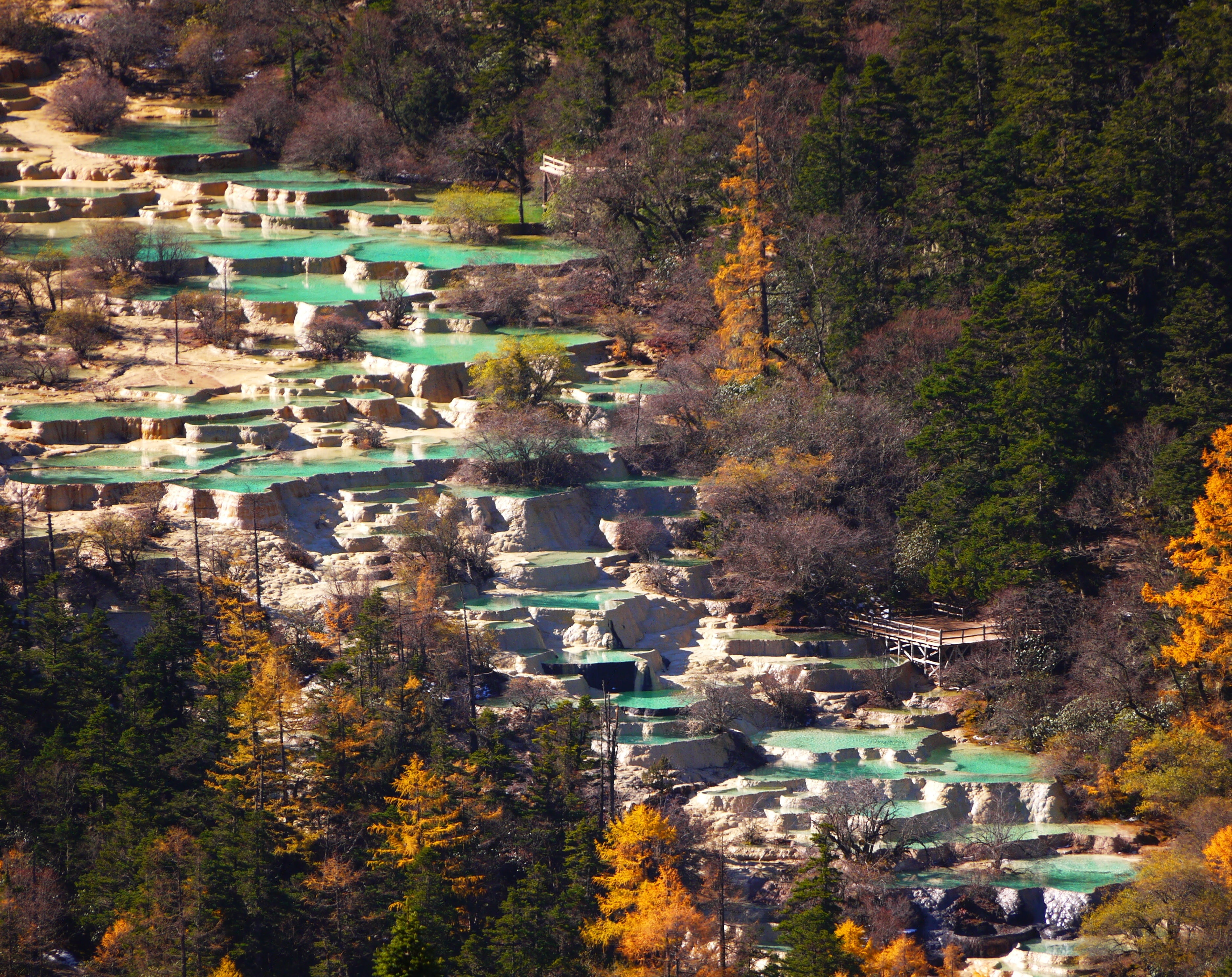 huanglong, 2K, scenics - nature, beauty in nature, change, trees, abazangzuqiangzu, Sichuan, building, fall, autumn, plant, high angle view, growth, architecture, HD Wallpaper
