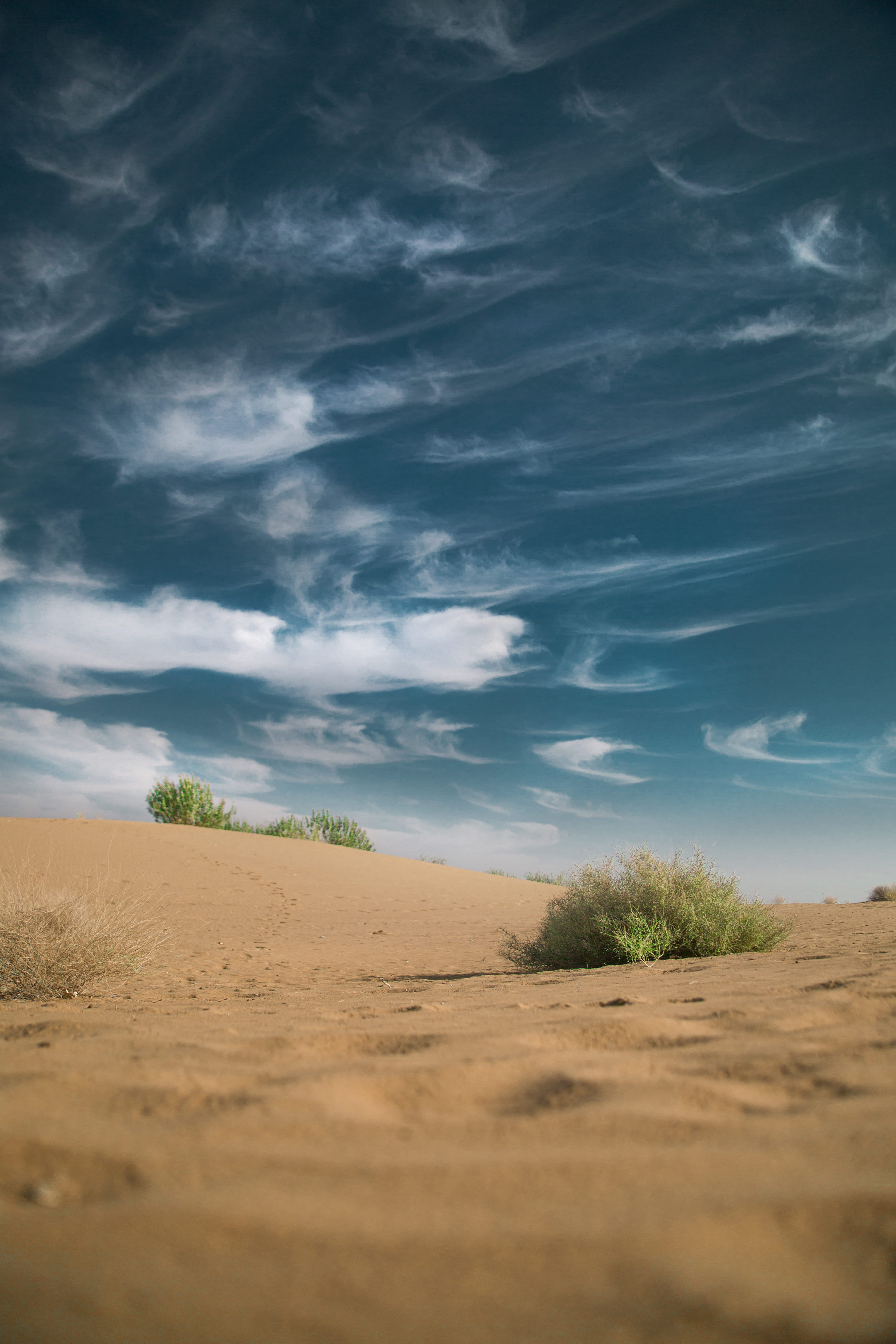tranquility, scenics - nature, bush, beach, landscape, arid climate, clods, cloud - sky, land, jaisalmer, nature, cloud, plant, cumulus, non-urban scene, Phone HD Wallpaper