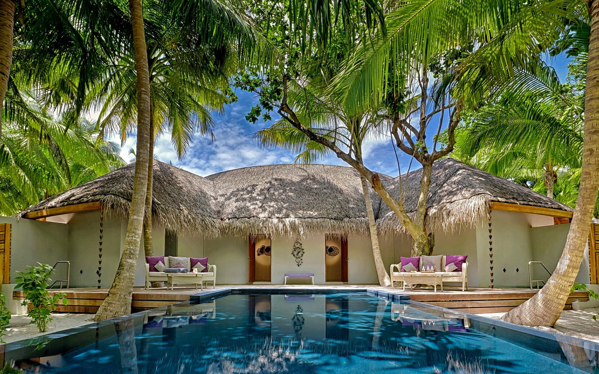  villa, pool, finolhu, maldives, hd, beach, baa, dusit, 1080P, atoll, thani, HD Wallpaper