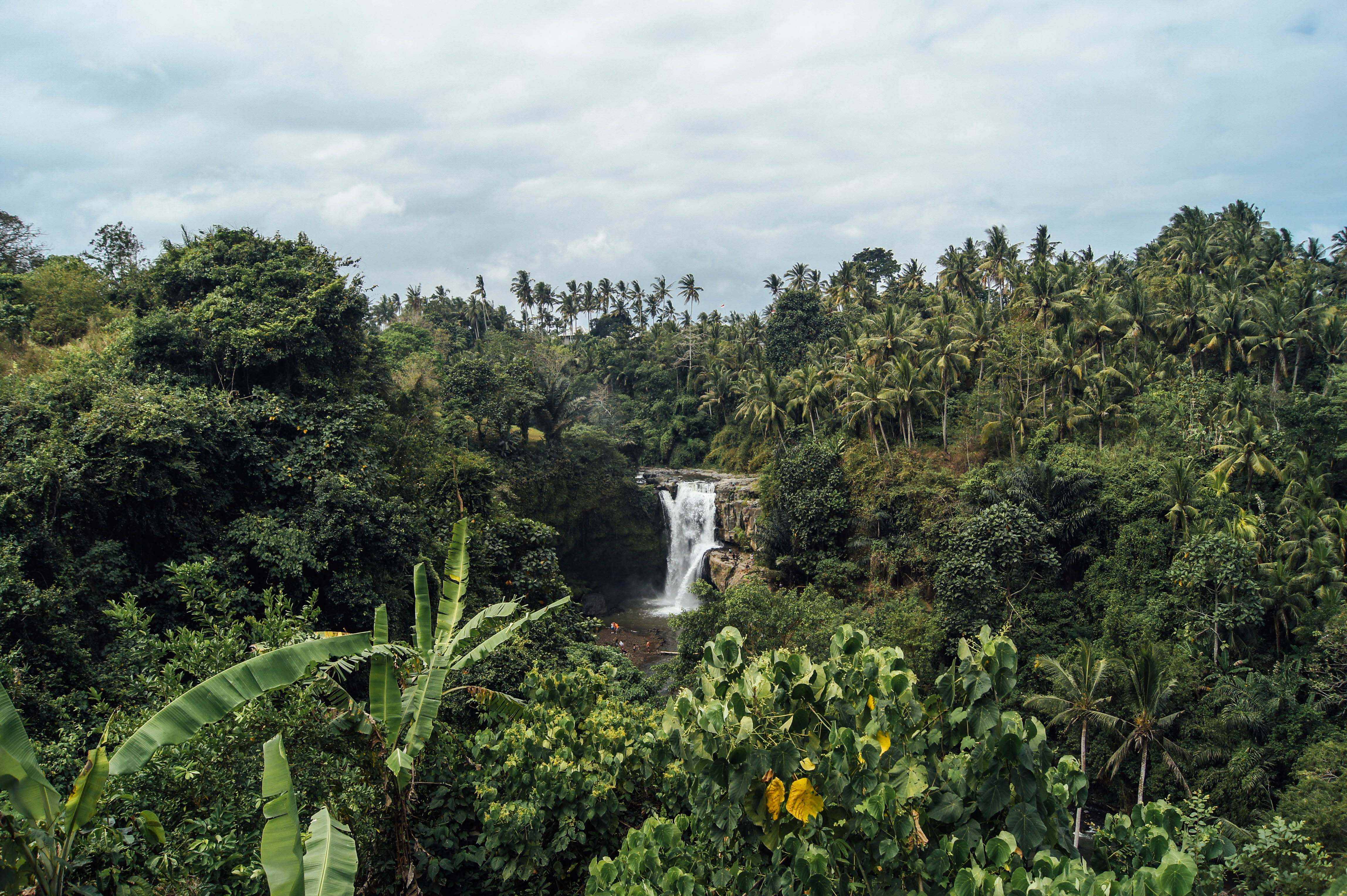 landscape, waterfall, rainforest, tropical, tranquility, tegenungan, 4K, green, forest, no people, surrounded, beauty in nature, cloud - sky, tree, environment, HD Wallpaper