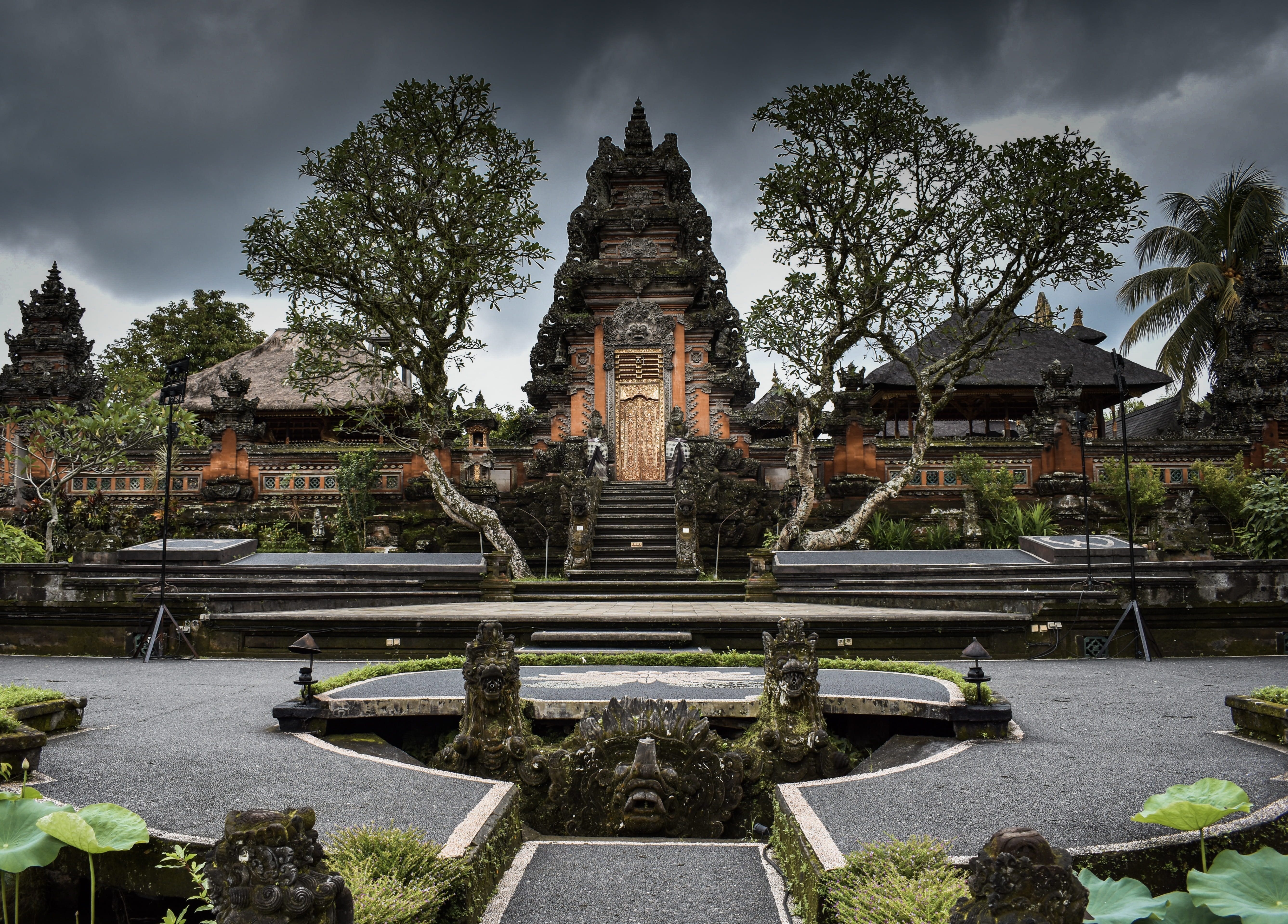 the way, plant, hiker, ubud, tree, human, travel destinations, 5K, people, no people, place of worship, architecture, spirituality, belief, travel, traveler, HD Wallpaper