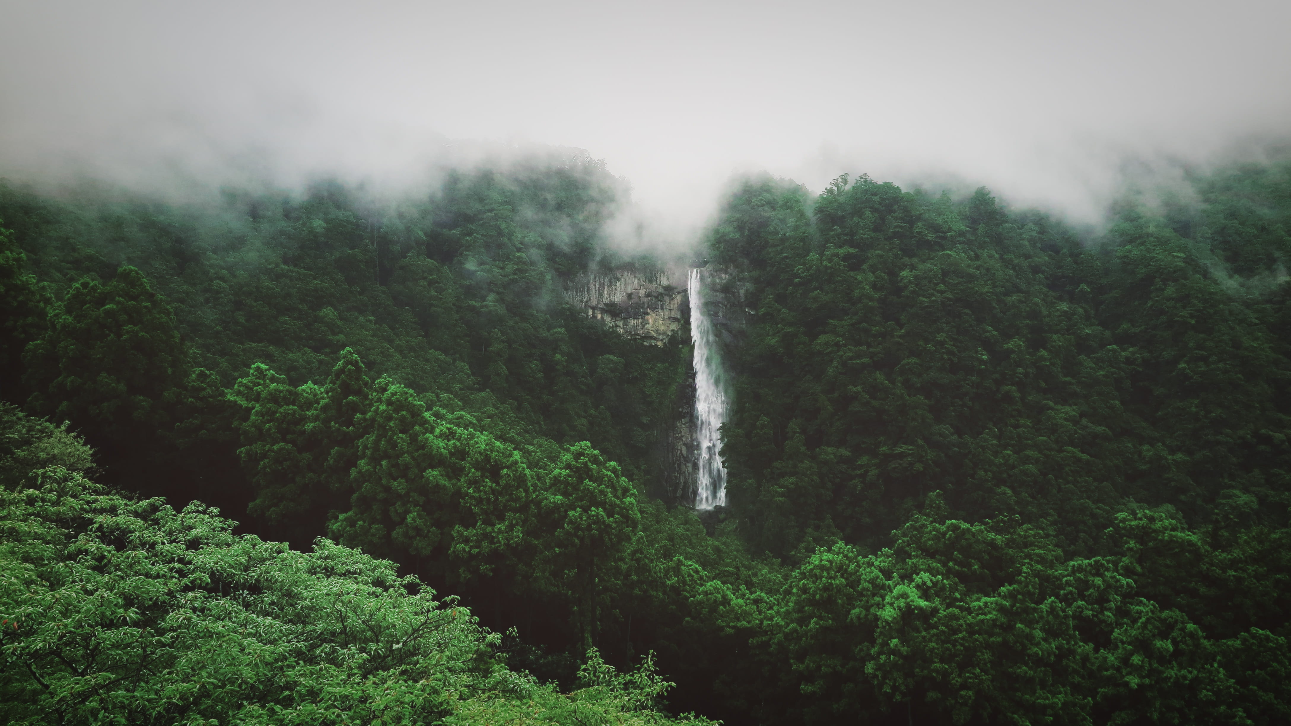 scenics - nature, japan, foliage, beauty in nature, nachi falls, plant, tranquility, flowing, lush foliage, mist, water, cloud, river, growth, nature, non-urban scene, HD Wallpaper