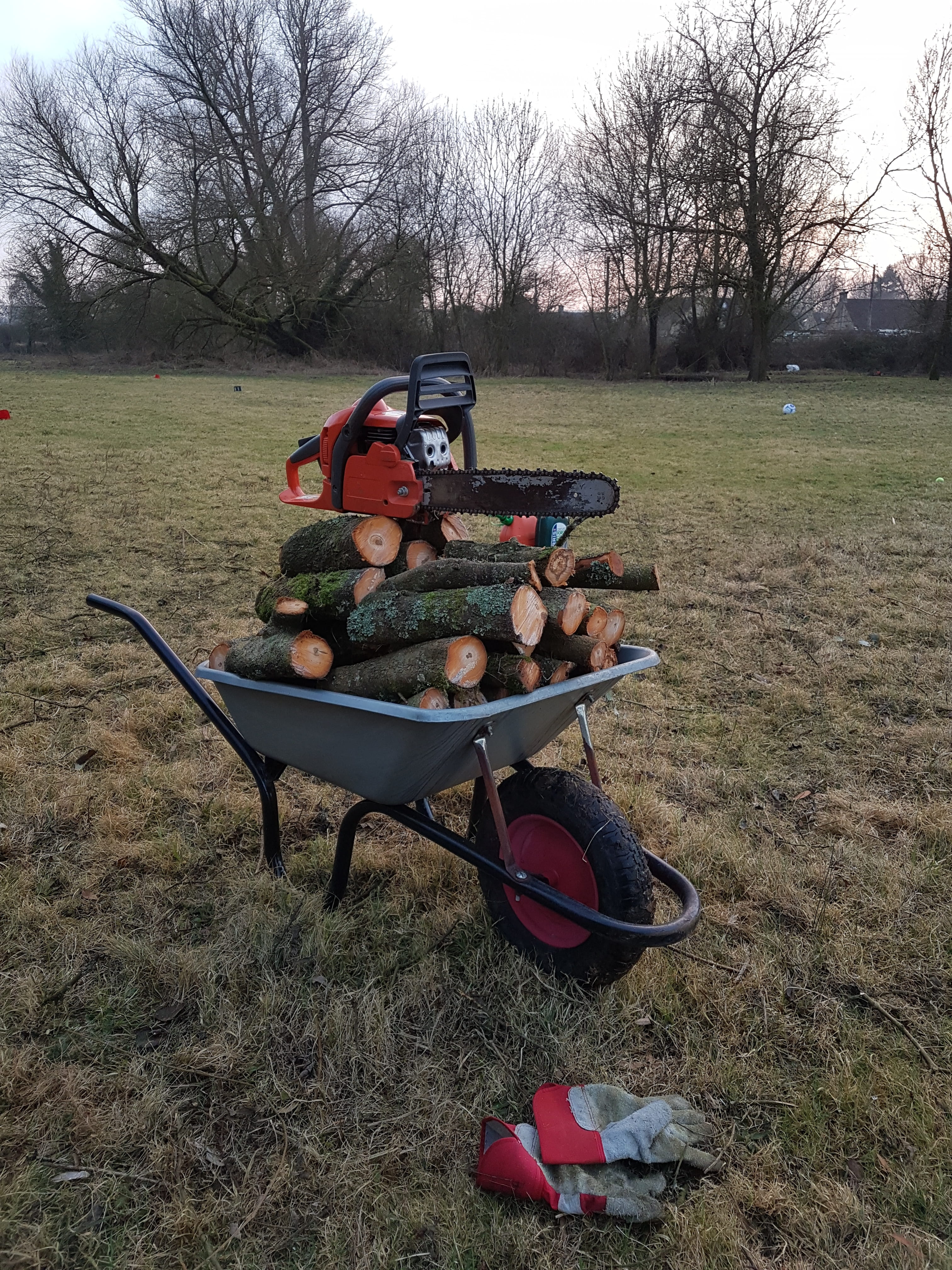 table, large group of objects, red, picnic table, food and drink, woodcutting, land, park - man made space, seat, day, autumn, plant, field, bare tree, Phone HD Wallpaper