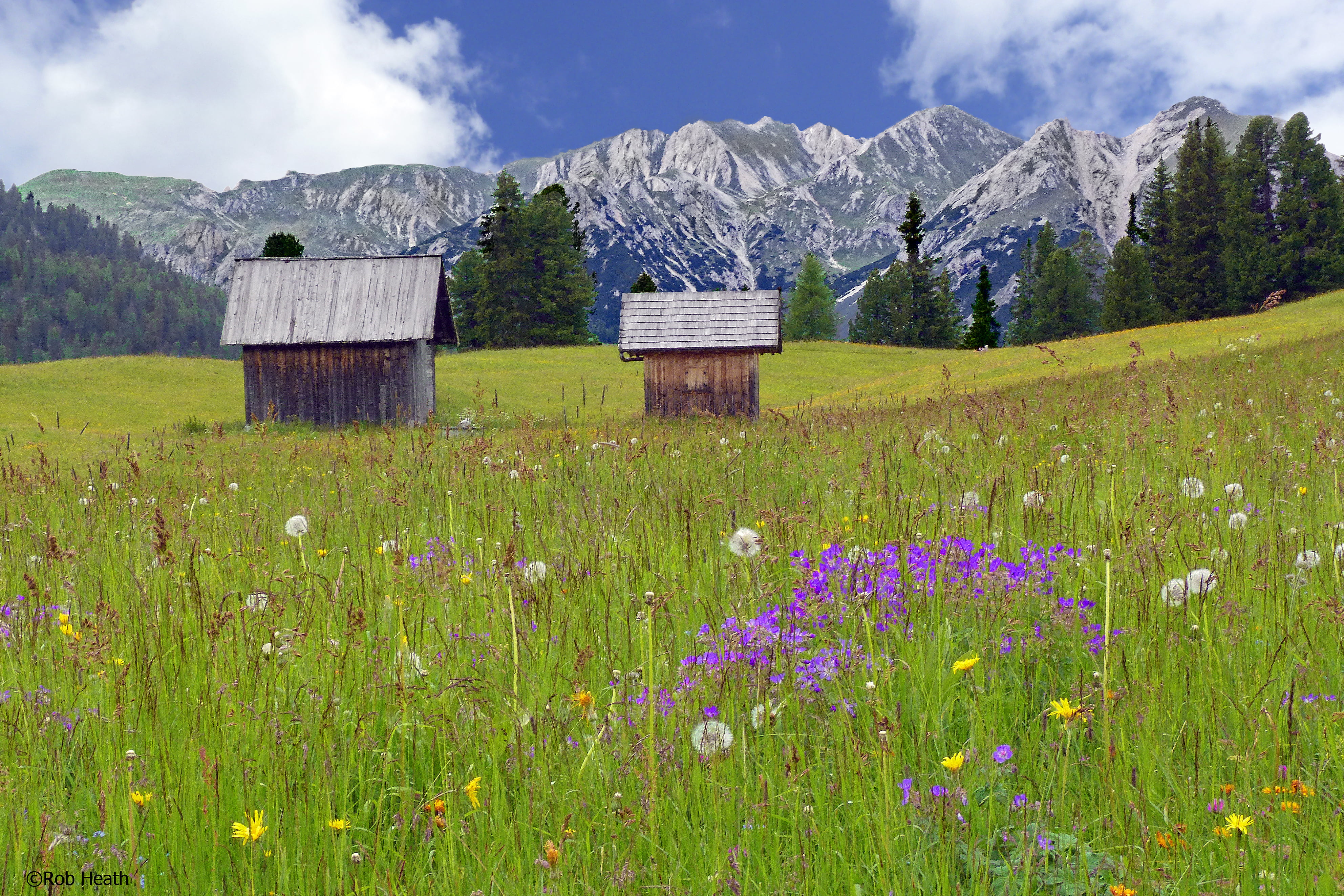 Piazza, grass, brown, sheds, ridge, alps, dolomite, mountains, panorama, view, Italy, vista, snowy mountain, plateau, field, grassland, alpine meadow, overlooking, HD Wallpaper