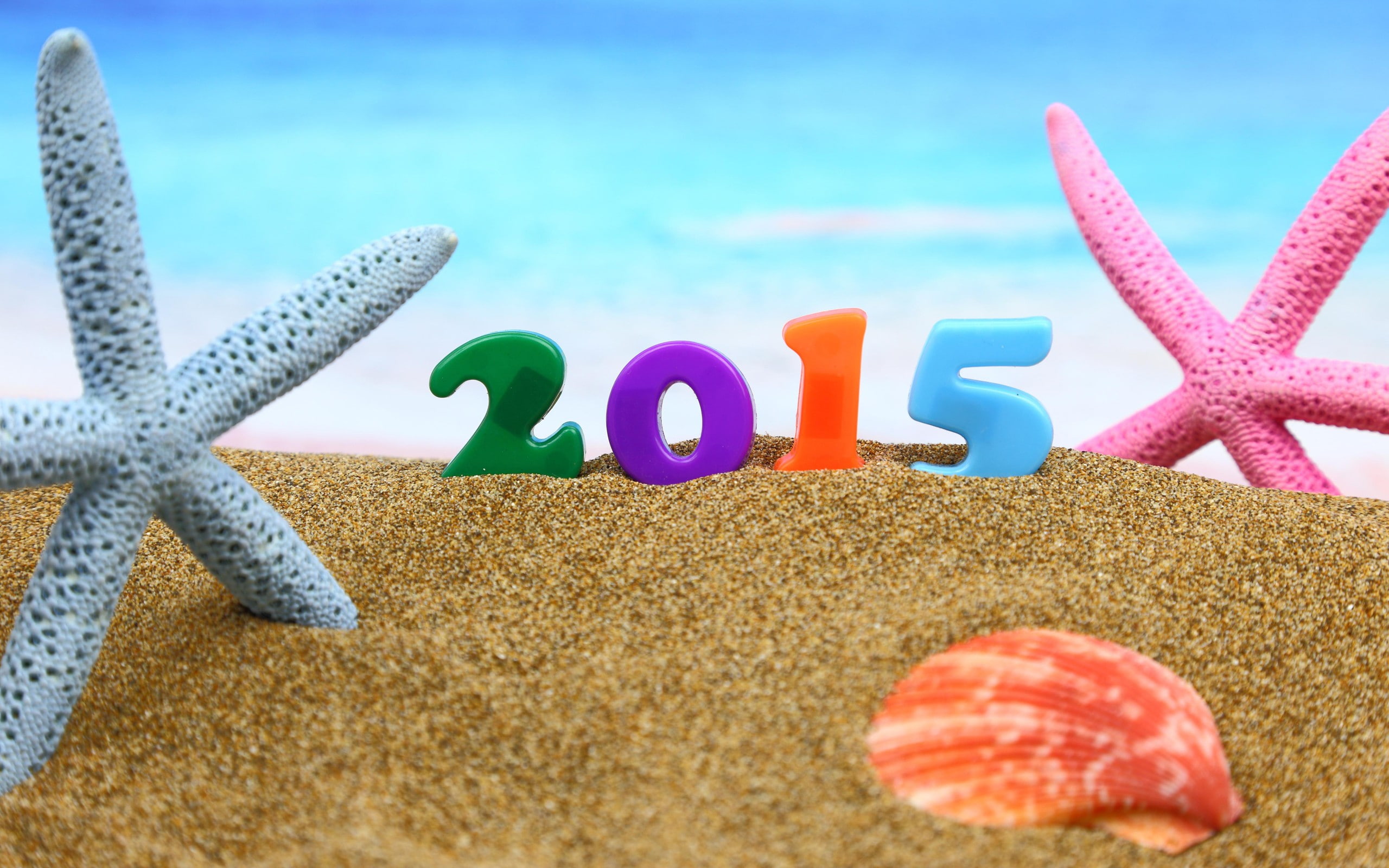 2015, Christmas, seashells, sand, 2K, starfish, New Year, HD Wallpaper