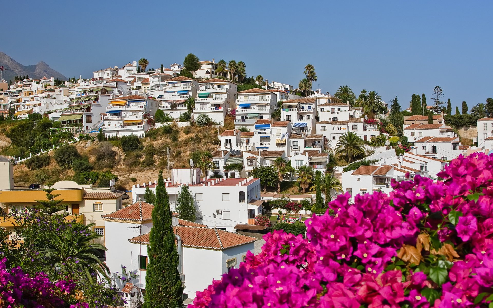 House, Palm Tree, 1080P, Costa Del Sol, Man Made, Flower, Nature, Spain, City, Nerja, Sky, HD Wallpaper