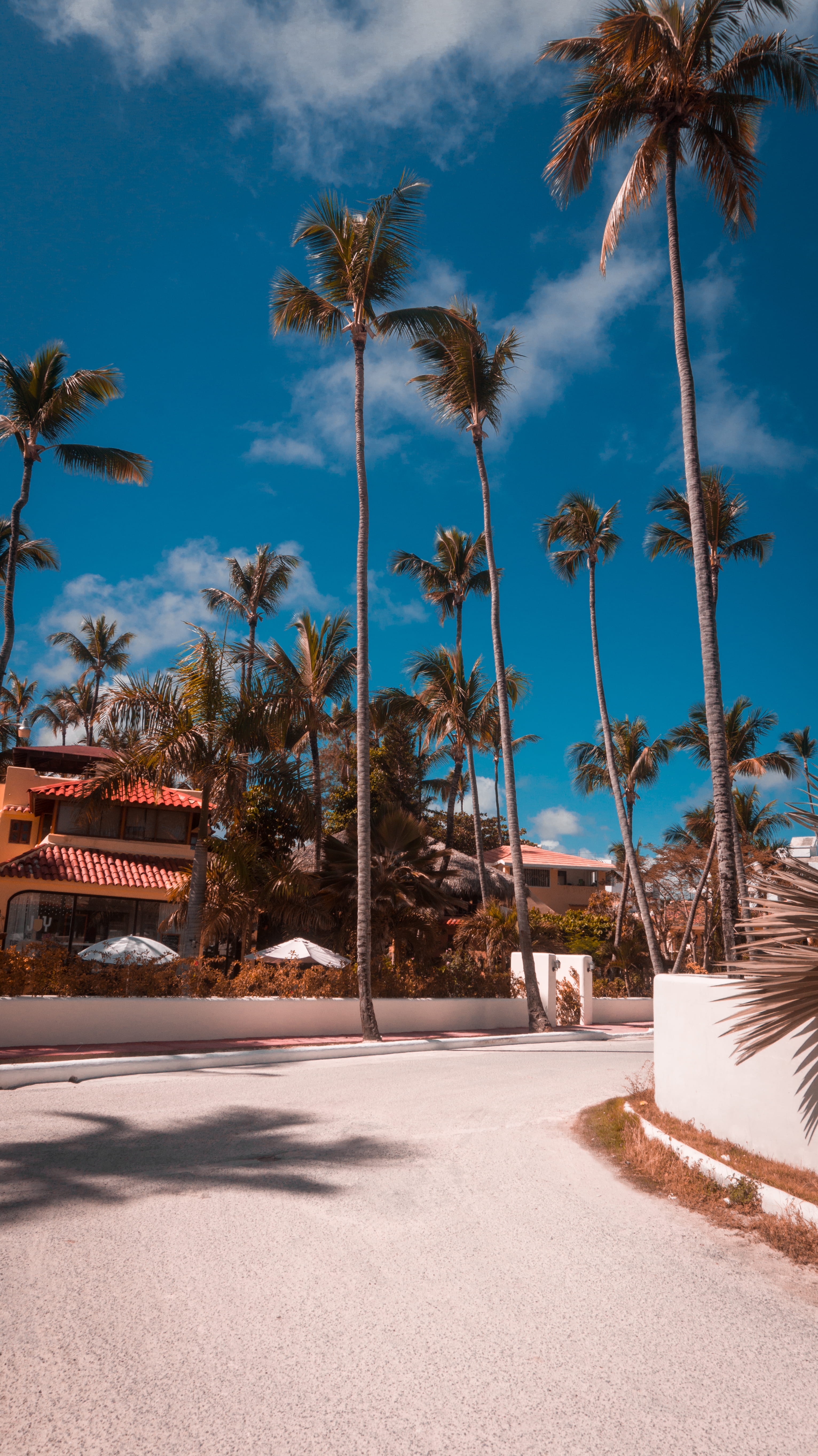 tranquil scene, punta cana, cloud - sky, land, nature, dominican republic, architecture, arecaceae, sky, tropical, palm tree, growth, housing, tree, no people, Phone HD Wallpaper