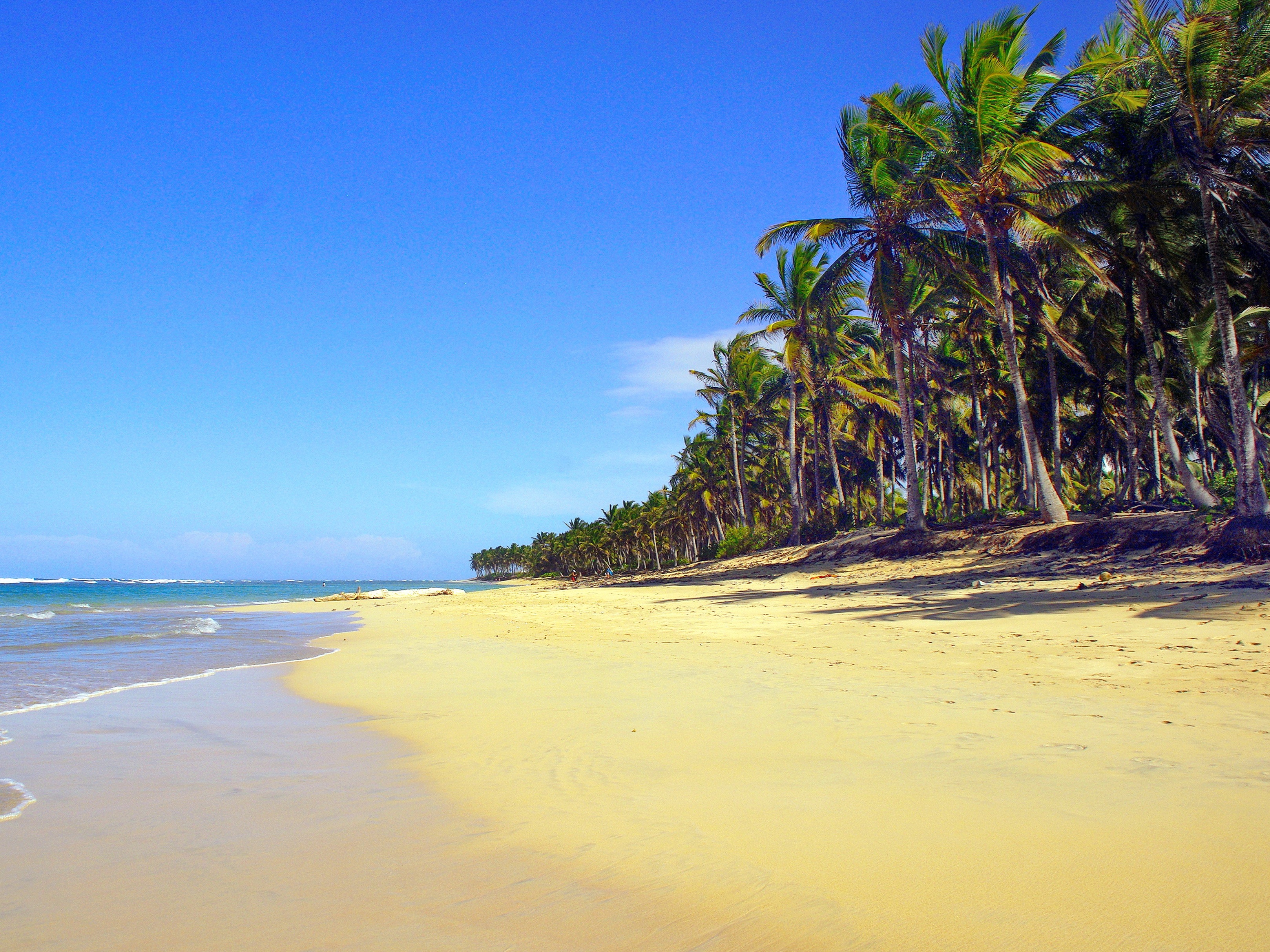 horizon over water, plant, tranquility, idleness, tropical climate, wild coast, day, clear sky, sun, outdoors, blue, sea, land, maritime, dominican republic, HD Wallpaper