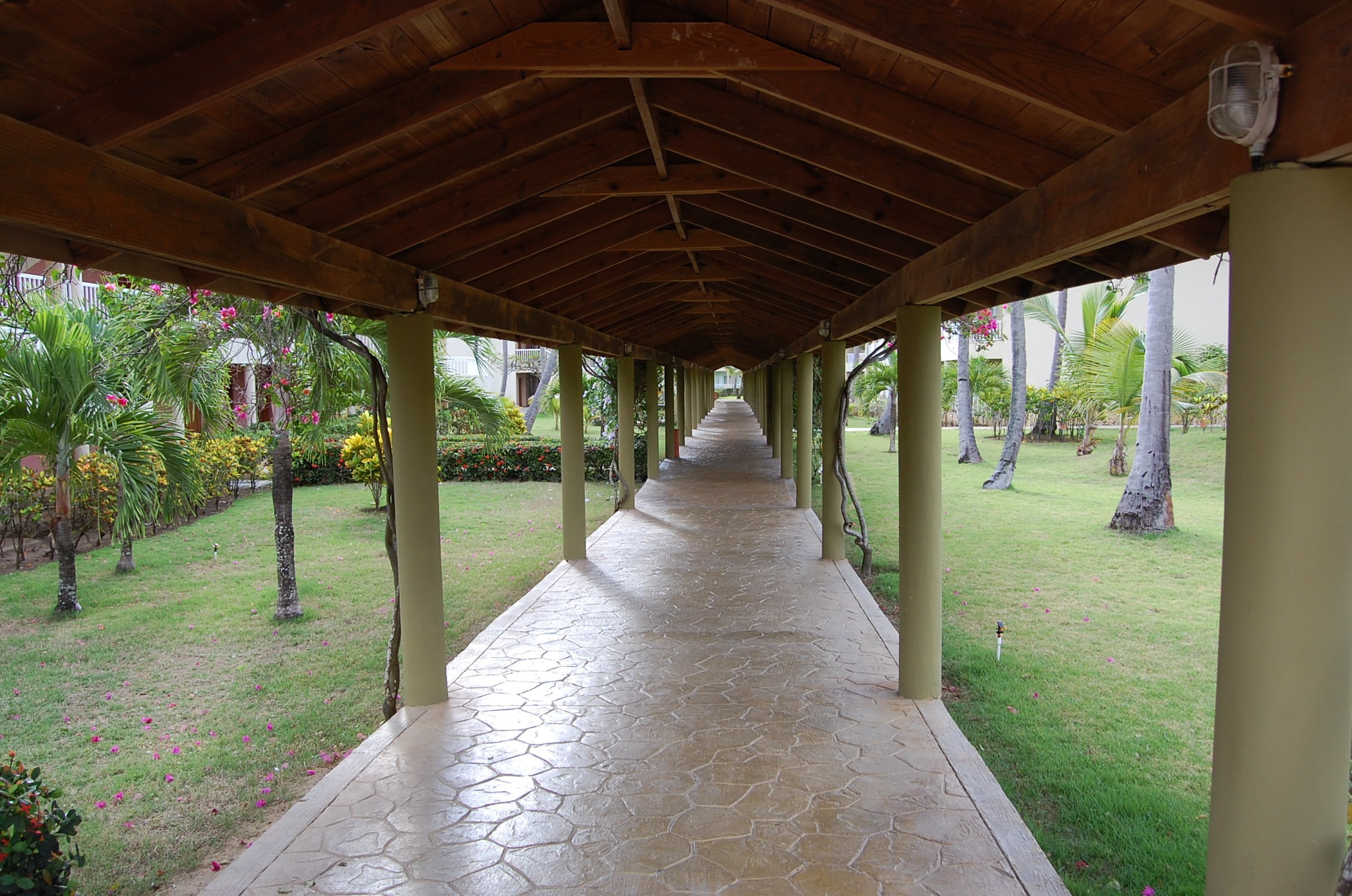 the way forward, footpath, plant, architecture, diminishing perspective, outdoors, hotel, 1080P, no people, nature, dominican republic, punta cana, pool, HD Wallpaper
