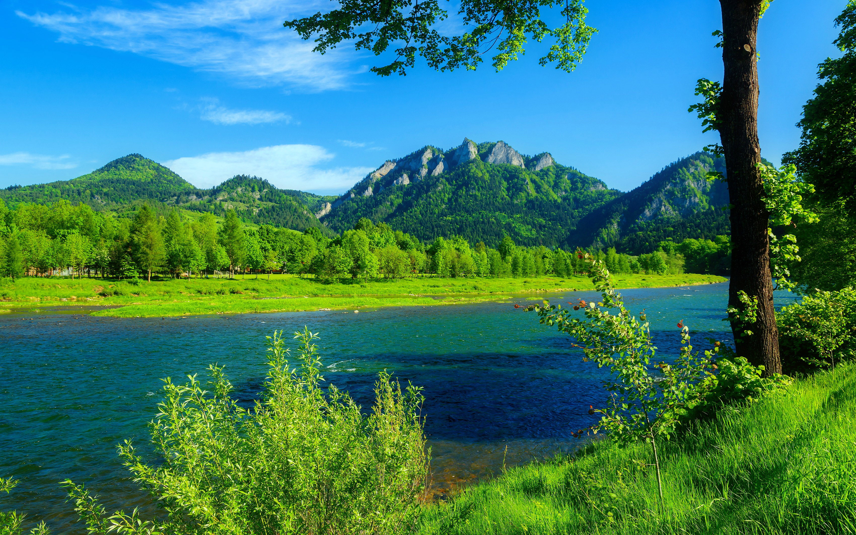 grass, desktop, sky, forest, blue, hd, river, dunajec, summer, 2K, mountains, landscape, green, poland, HD Wallpaper