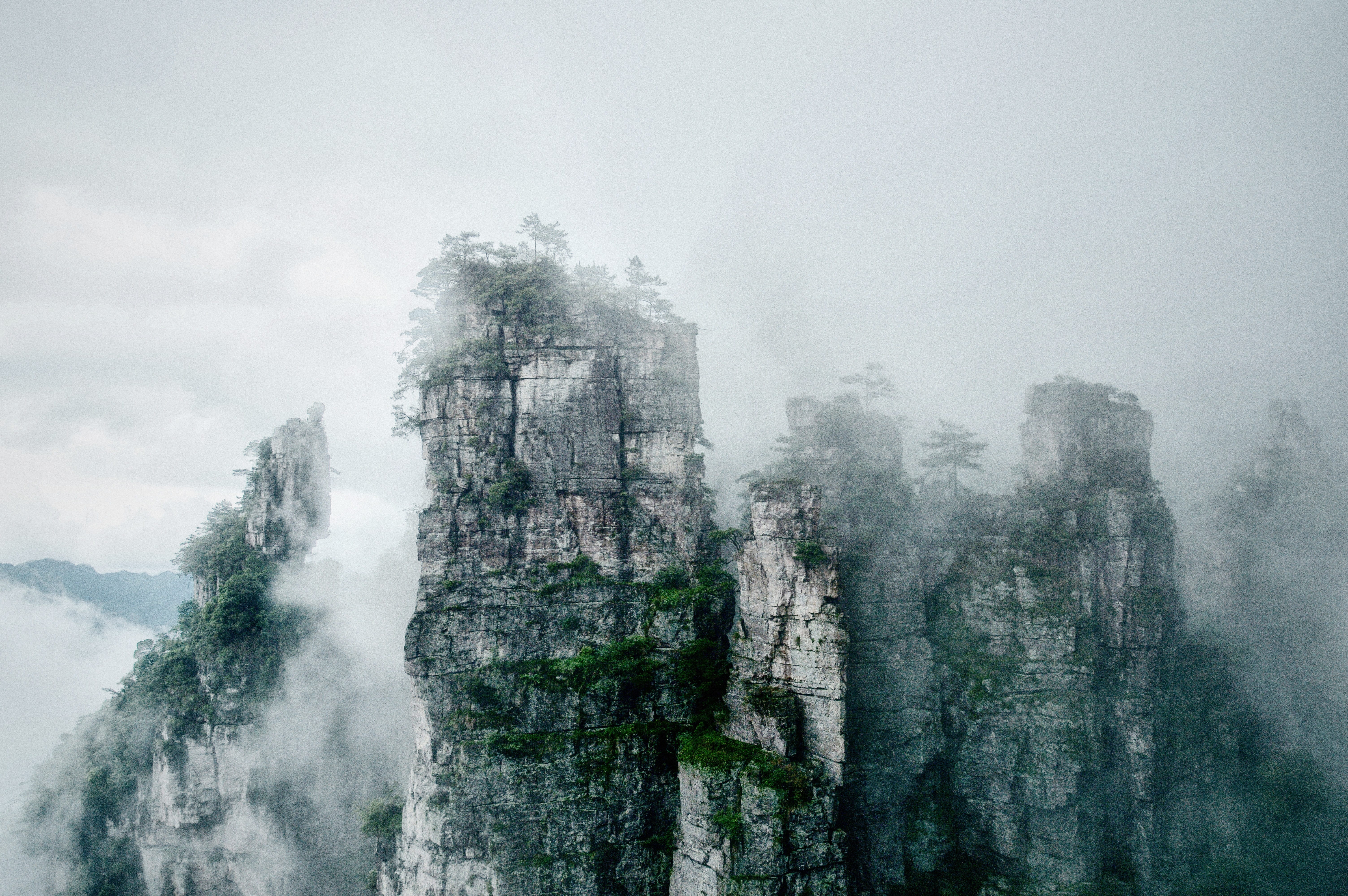 sky, covered, top, water, scenery, tree, lotus mountain, beauty in nature, tranquil scene, fog, solid, outdoors, scenics - nature, mist, day, skyscraper, HD Wallpaper