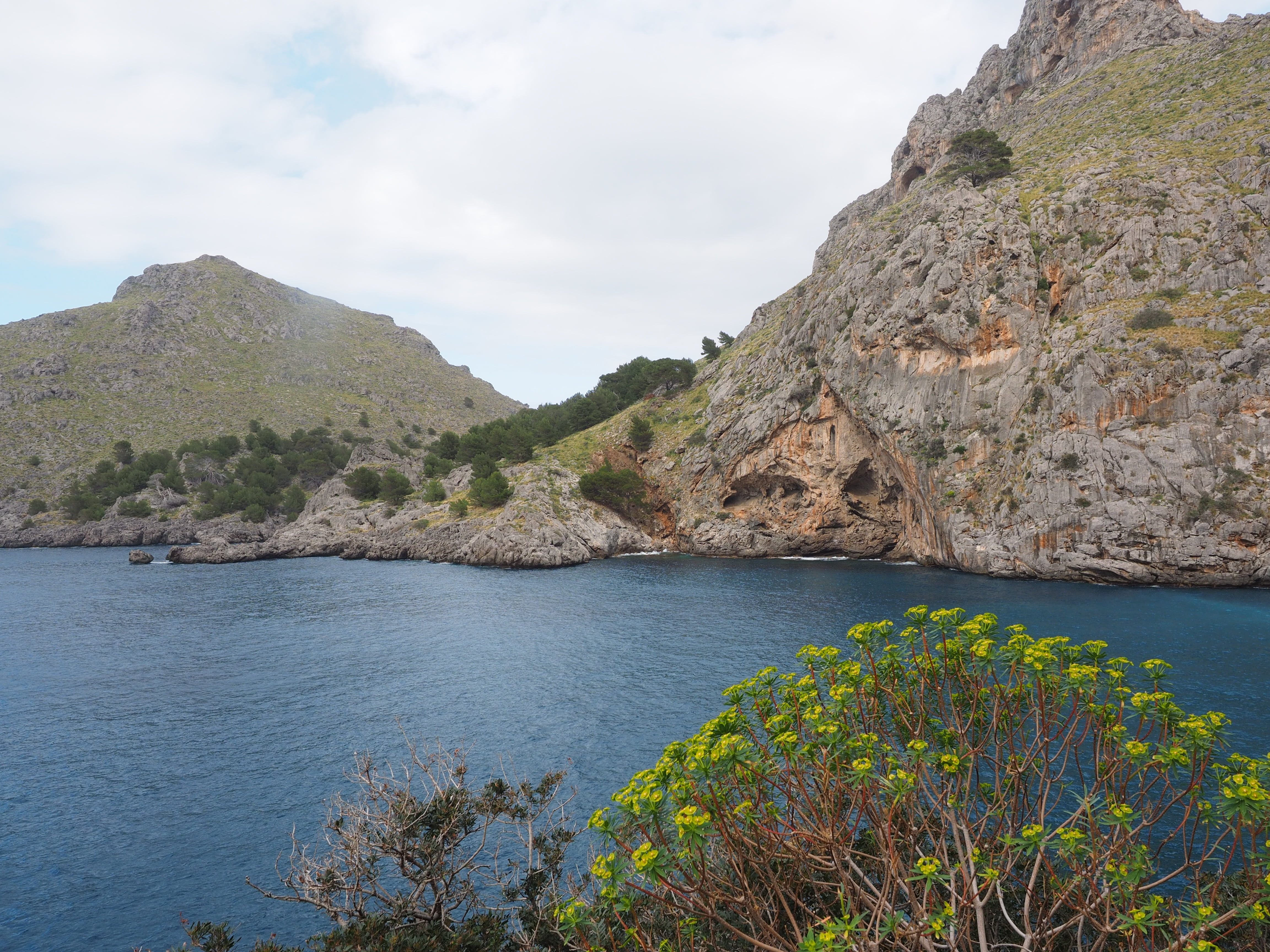 mountain range, nature, sea, greece, plant, rock - object, blue, coastline, tranquility, rocky, mediterranean Sea, cliff, places of interest, rock formation, HD Wallpaper