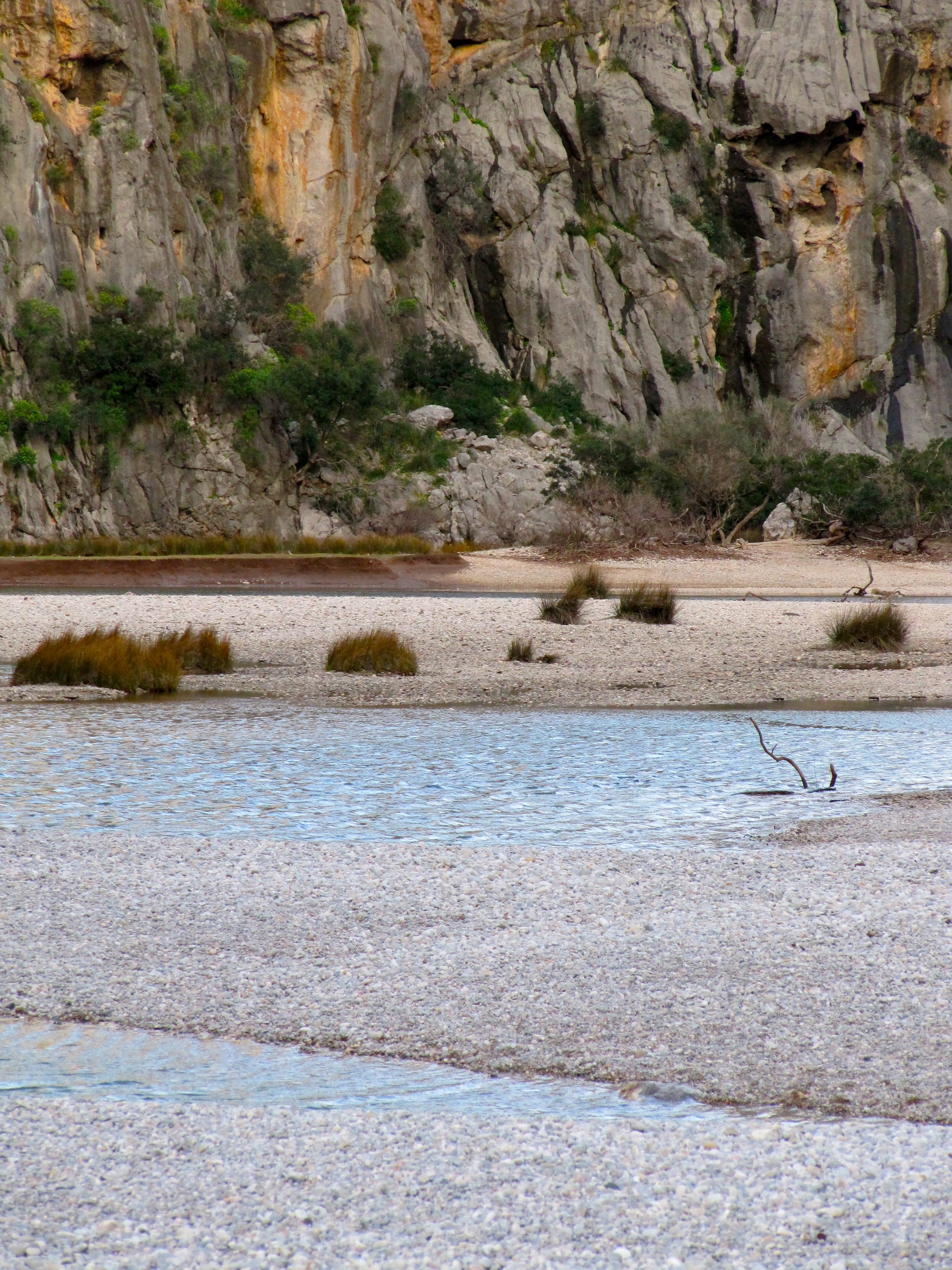 rock, tranquil scene, plant, no people, animal themes, outdoors, water, animal wildlife, torrent pareis, rest, sa calobra, trail, turquoise, tramuntana, Phone HD Wallpaper