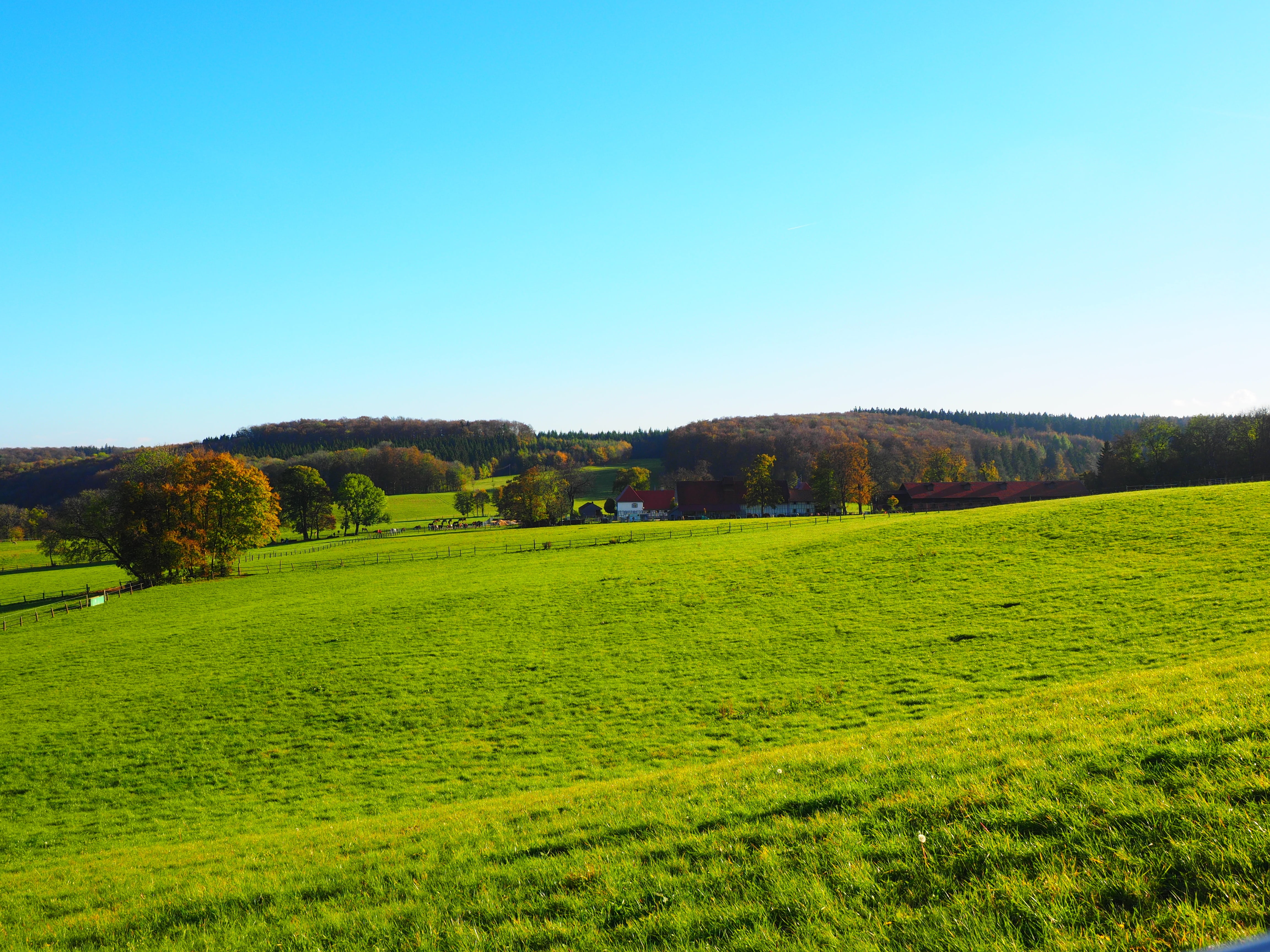 fohlenhof, grass, meadow, swabian alb, copy space, agriculture, stud, growth, gestütshof, fohlenhof stud, reported, rolling landscape, rural Scene, 4K, HD Wallpaper