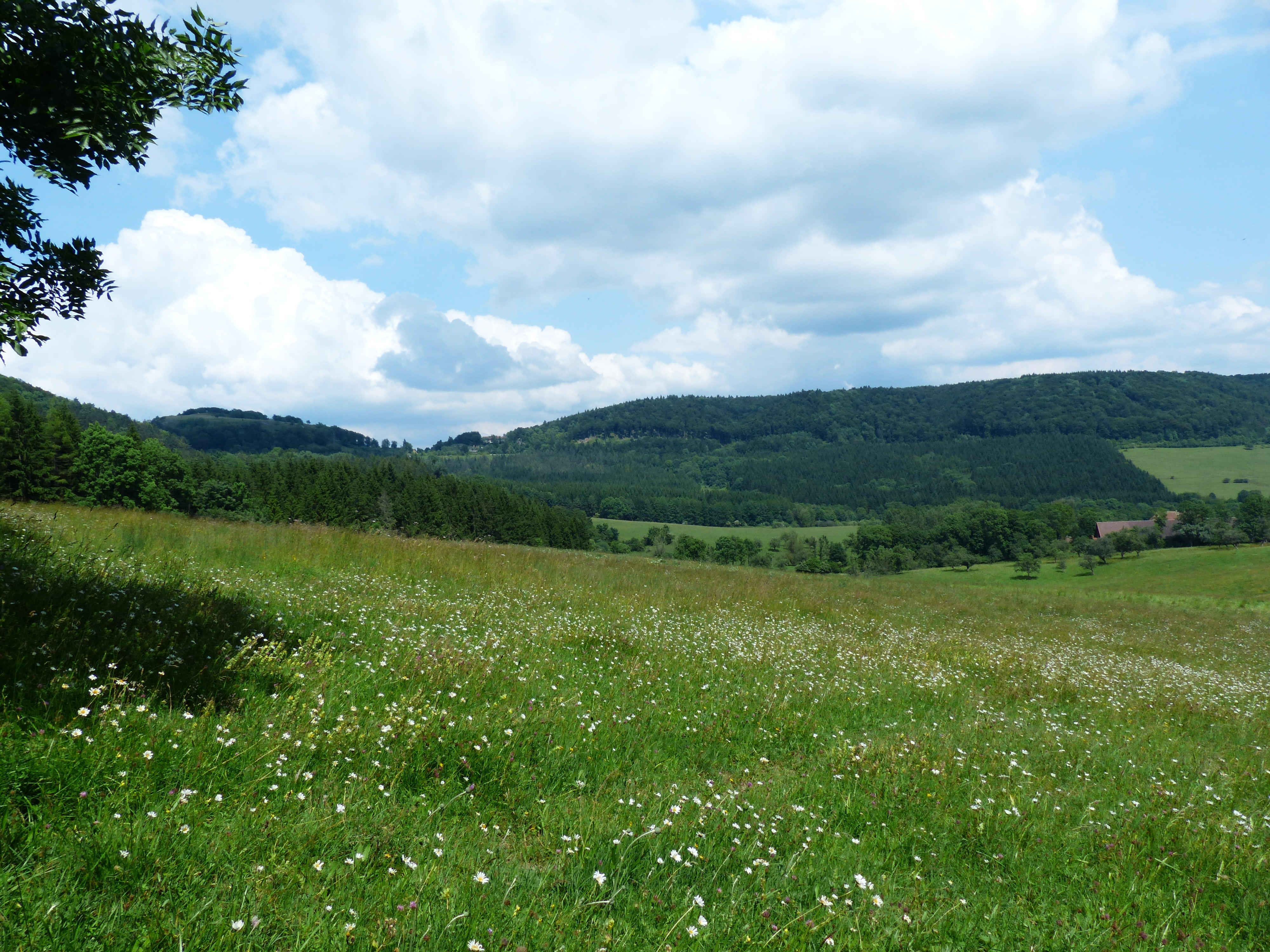mountain, day, zollernalb, scenics - nature, landscape, beauty in nature, meadow, blue, destination, summer day, wenzel stone, outdoors, growth, hike, tranquil scene, HD Wallpaper