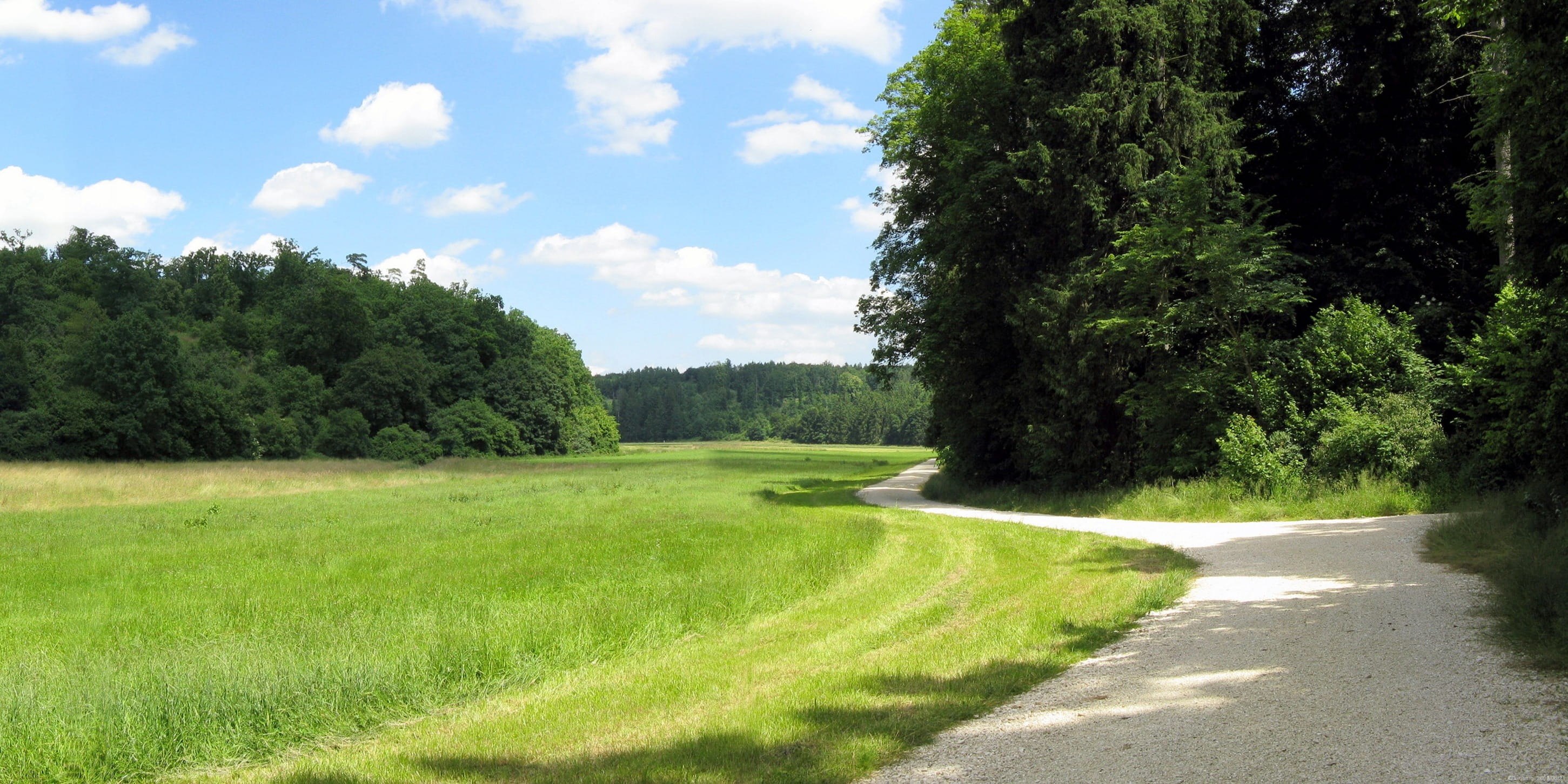 land, transportation, scenics - nature, growth, tranquility, hohlenstein, hiking, tree, nature, trail, the way forward, lonetal, Dry Valley, outdoors, forest, HD Wallpaper