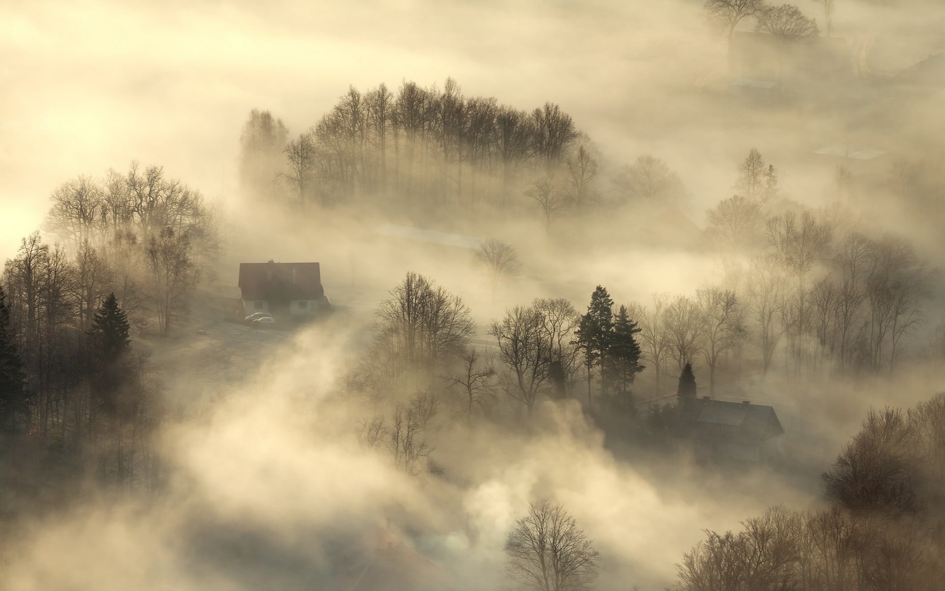 painting, land, aerial view, 1080P, trees, day, no people, outdoors, tranquil scene, tranquility, landscape, scenics - nature, cloud - sky, fog, morning, HD Wallpaper