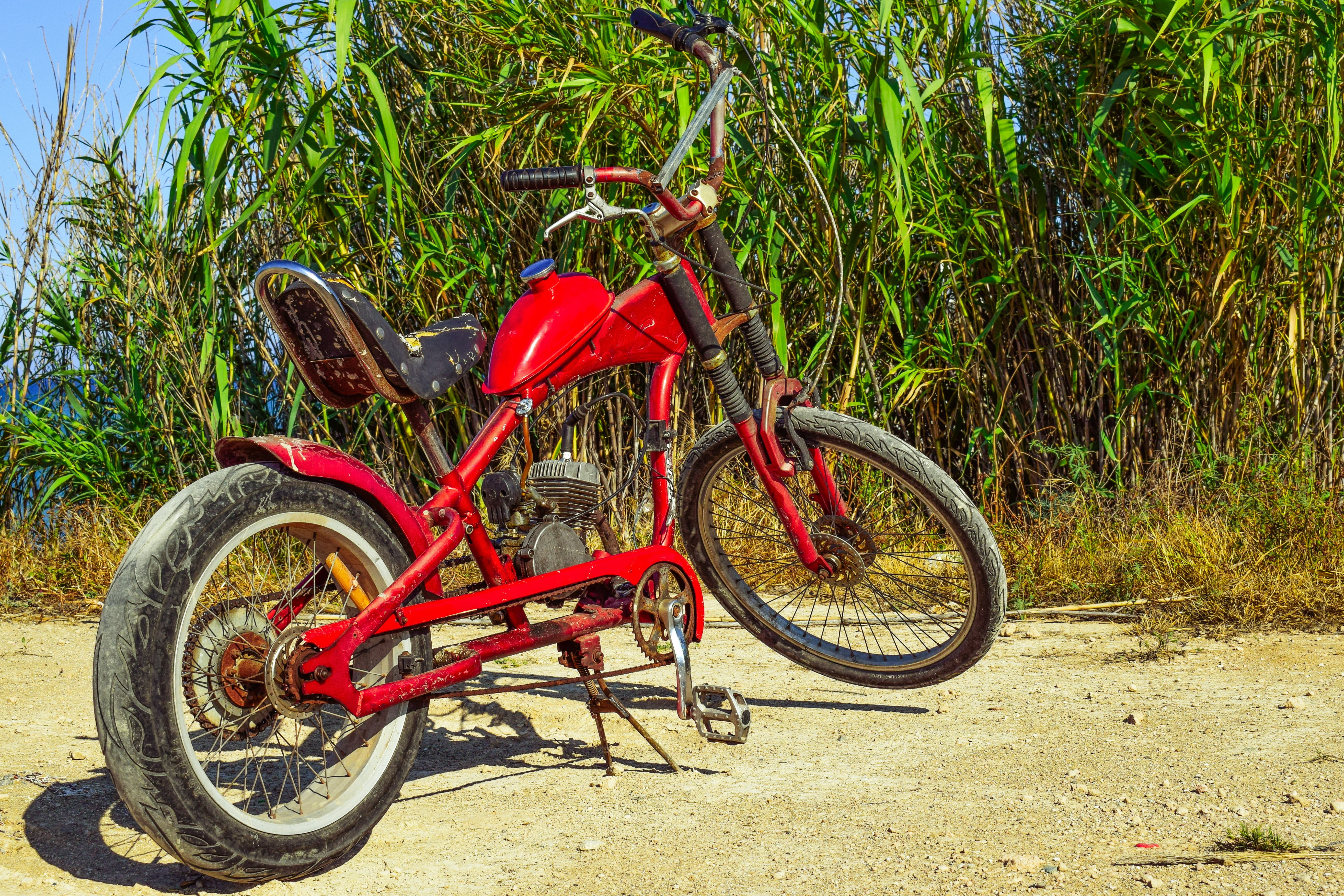 wheel, tree, nature, bicycle, land, day, plant, handmade, vehicle, growth, countryside, sunlight, no people, old, makeshift, motorbike, red, mode of transportation, HD Wallpaper