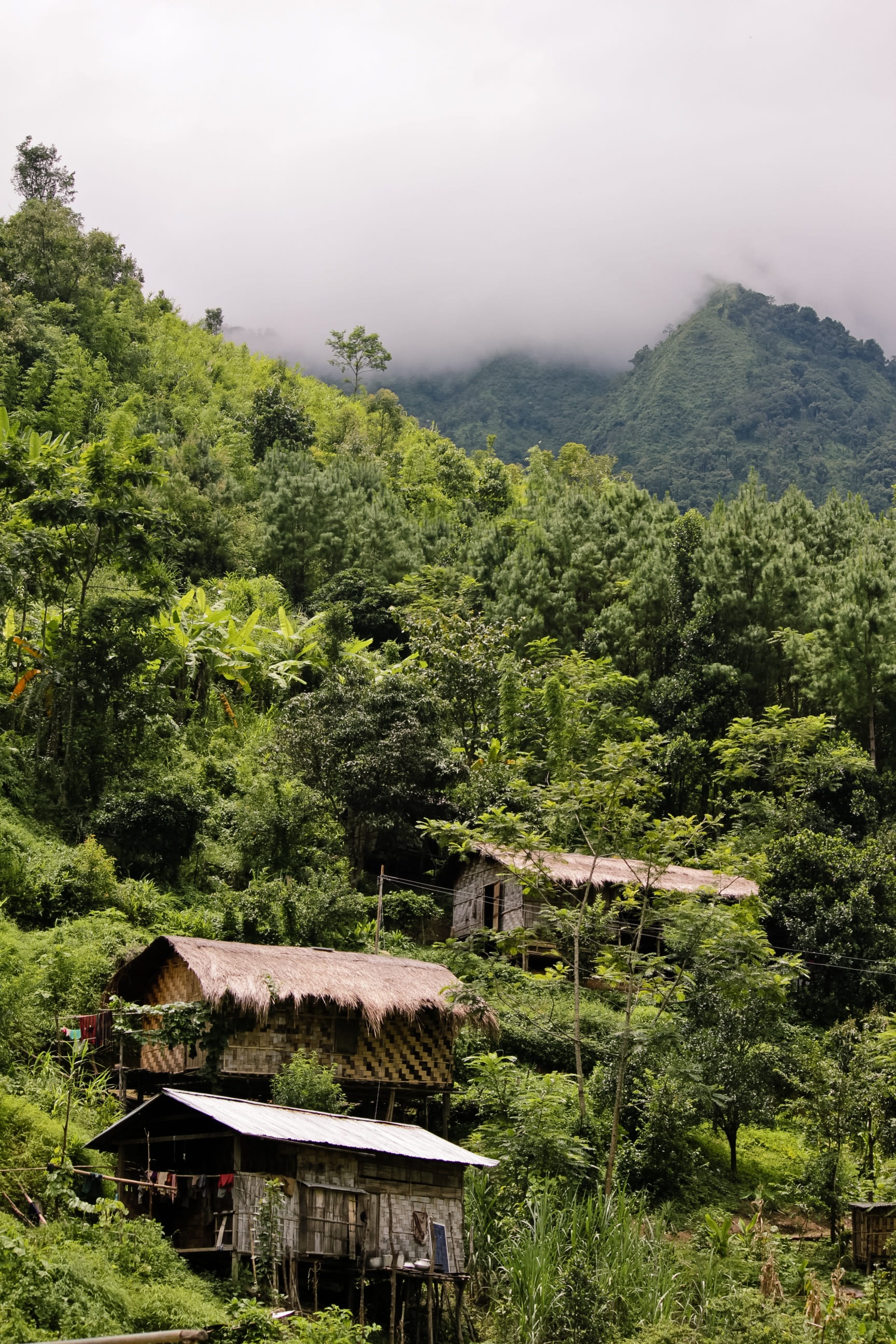 village, hut, adventure, building, 2K, greenery, journey, building exterior, tree, no people, land, landscape, tourism, forest, lifestyle, green color, Phone HD Wallpaper