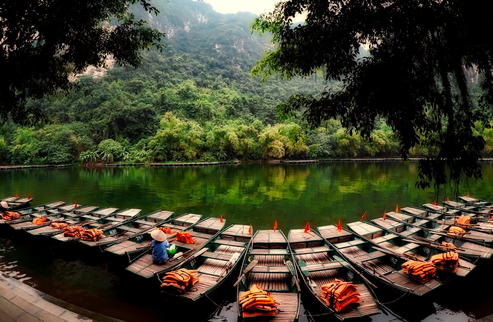 boat, dock, forest, beauty in nature, plant, 1080P, road, near, reflection, growth, wooden raft, tourism, day, green color, boats, nautical vessel, vietnam, HD Wallpaper