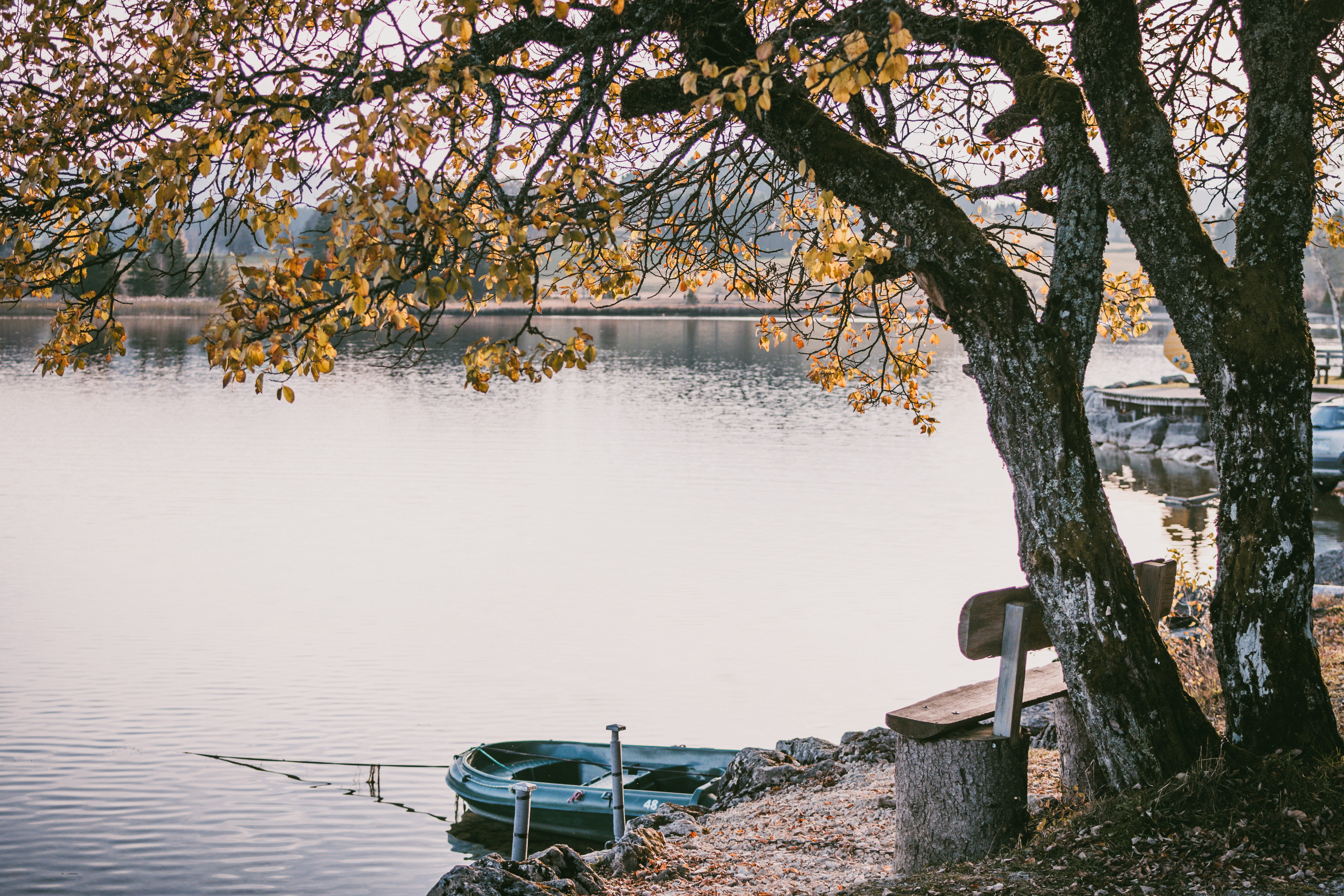 black, boat, tranquil scene, raft, branch, no people, cherry blossom, bench, 5K, near, nautical vessel, transportation, docked, inflatable, soil, tree, HD Wallpaper
