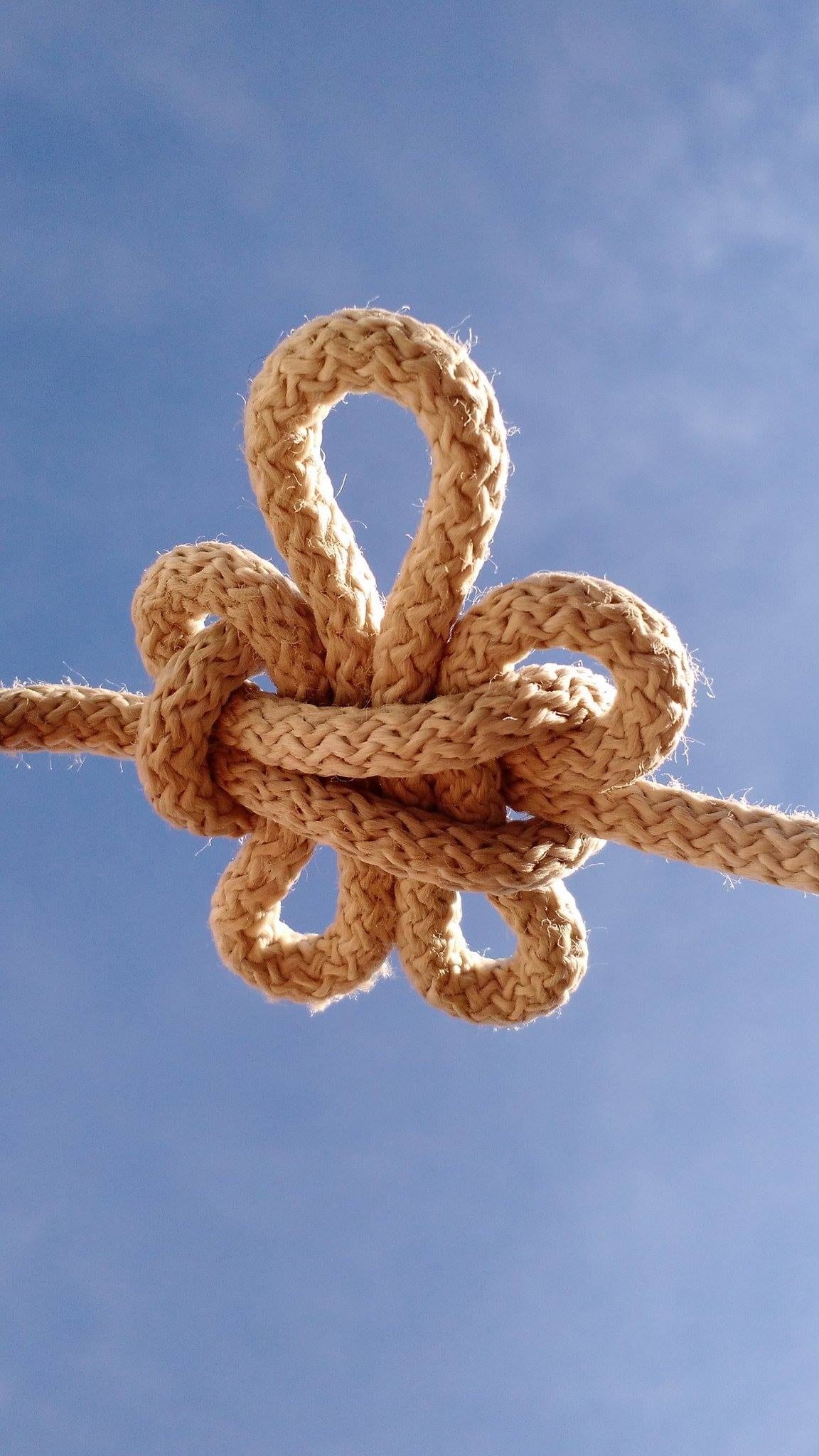 strength, outdoors, cloud - sky, low angle view, lis, togetherness, focus, sunlight, close-up, focus on foreground, knot, nature, photography, no people, Phone HD Wallpaper