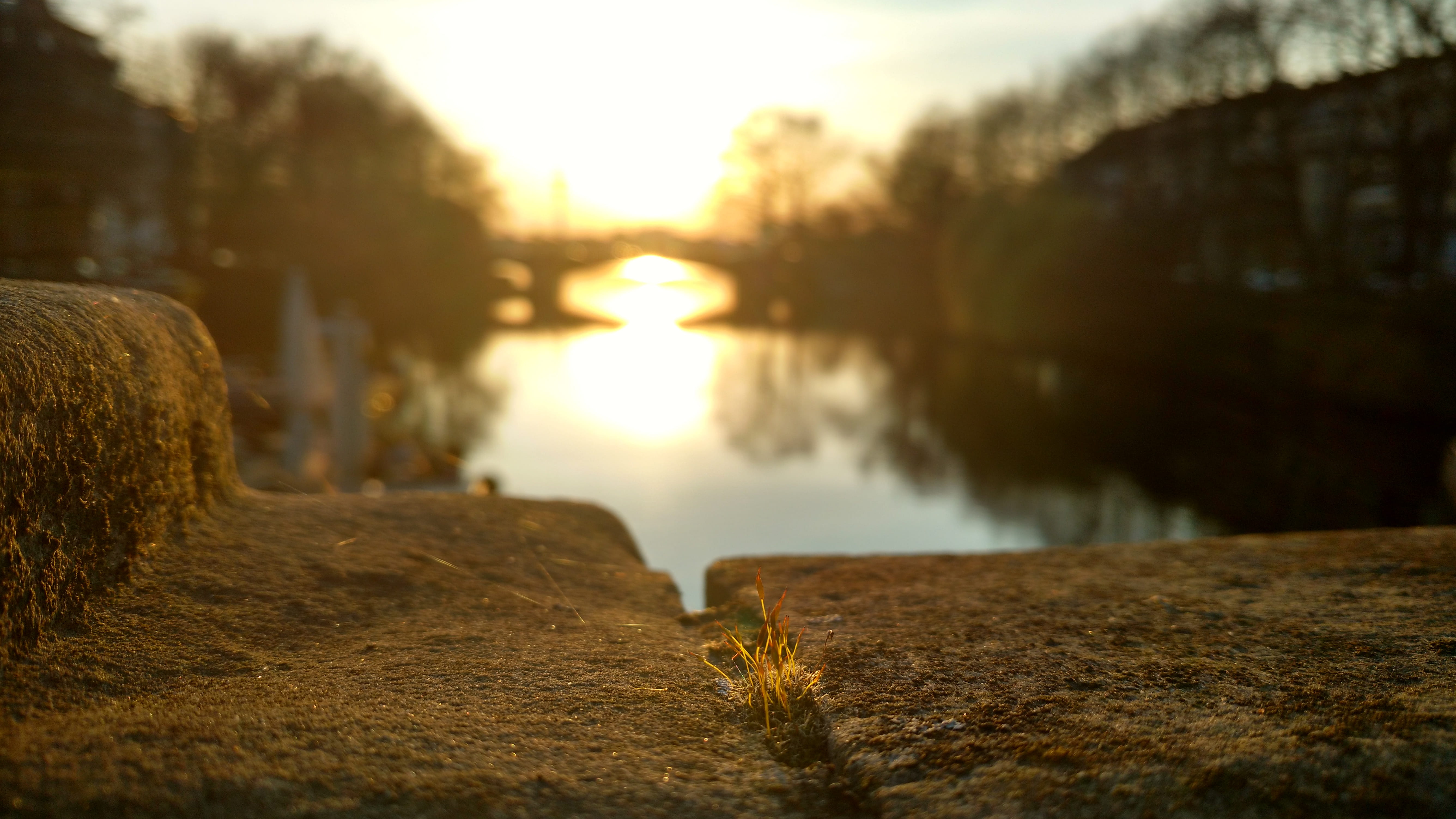 water, no people, sunlight, direction, selective focus, outdoors, rock, hamburg, nature, tranquility, macro, lake, plant, mundsburger brücke, sky, reflection, HD Wallpaper