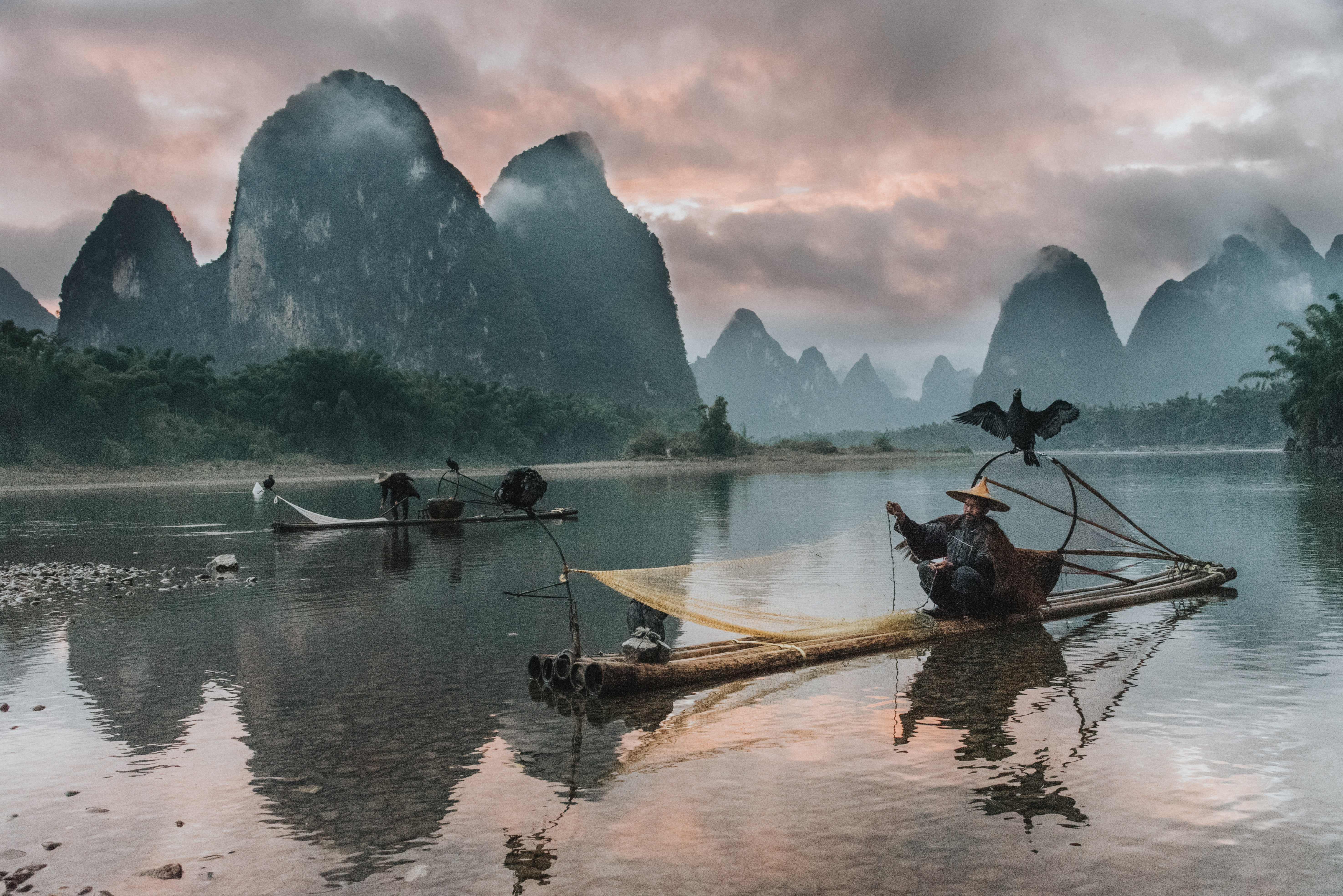 5K, Fisherman, Photography, Cormorant, HD Wallpaper