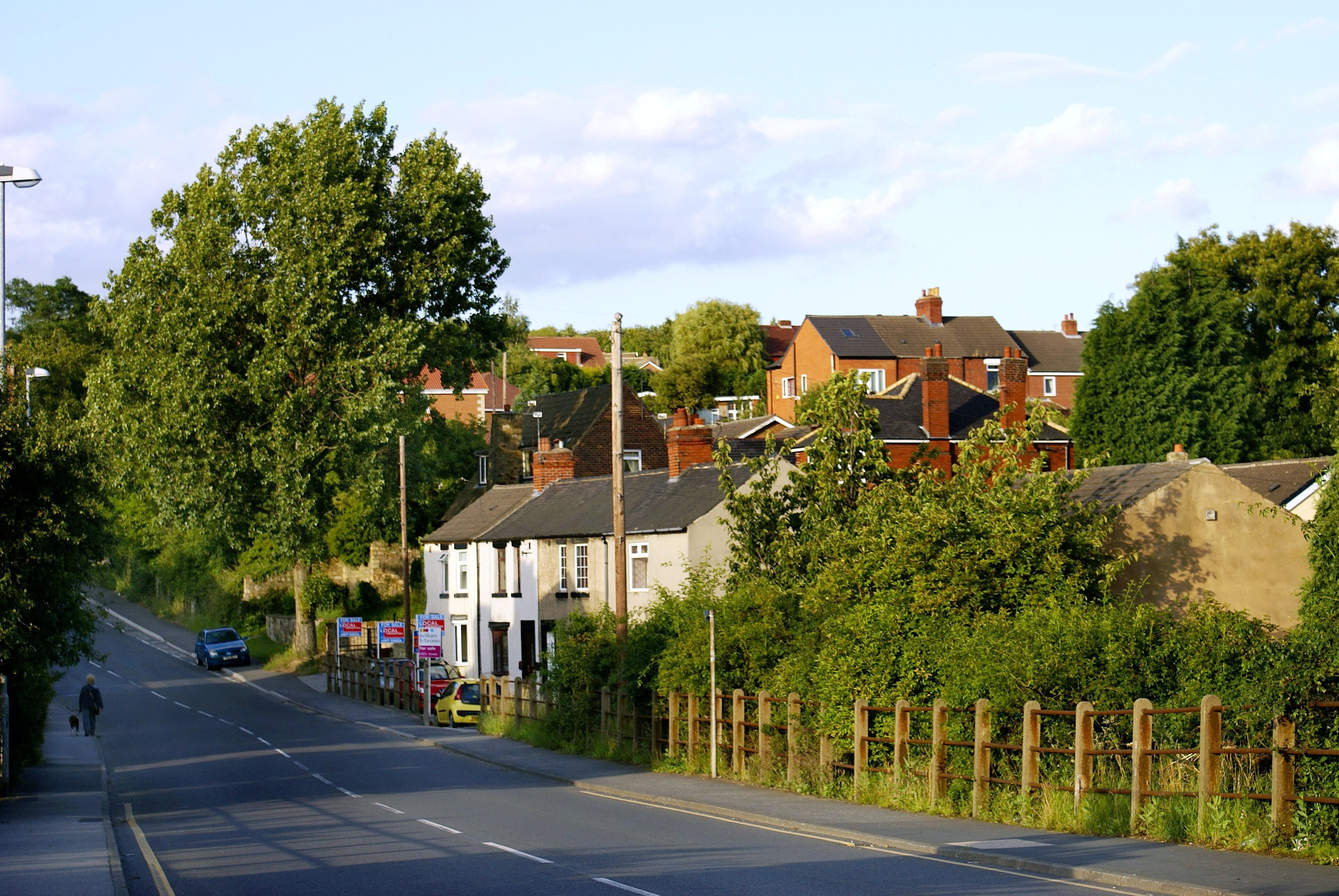 day, plant, tree, Buildings, building, sky, architecture, nature, residential district, transportation, uk, growth, outdoors, green color, england, little town, HD Wallpaper