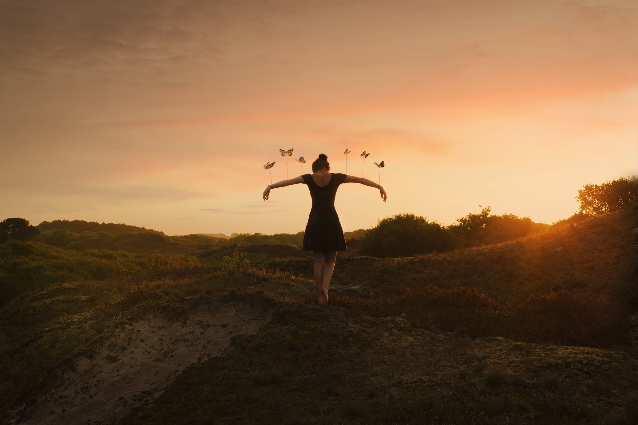 nature, real people, hills, outdoors, sky, sunlight, butterfly, land, black dress, orange color, love, one person, grass, brunette, beauty in nature, sun rays, HD Wallpaper
