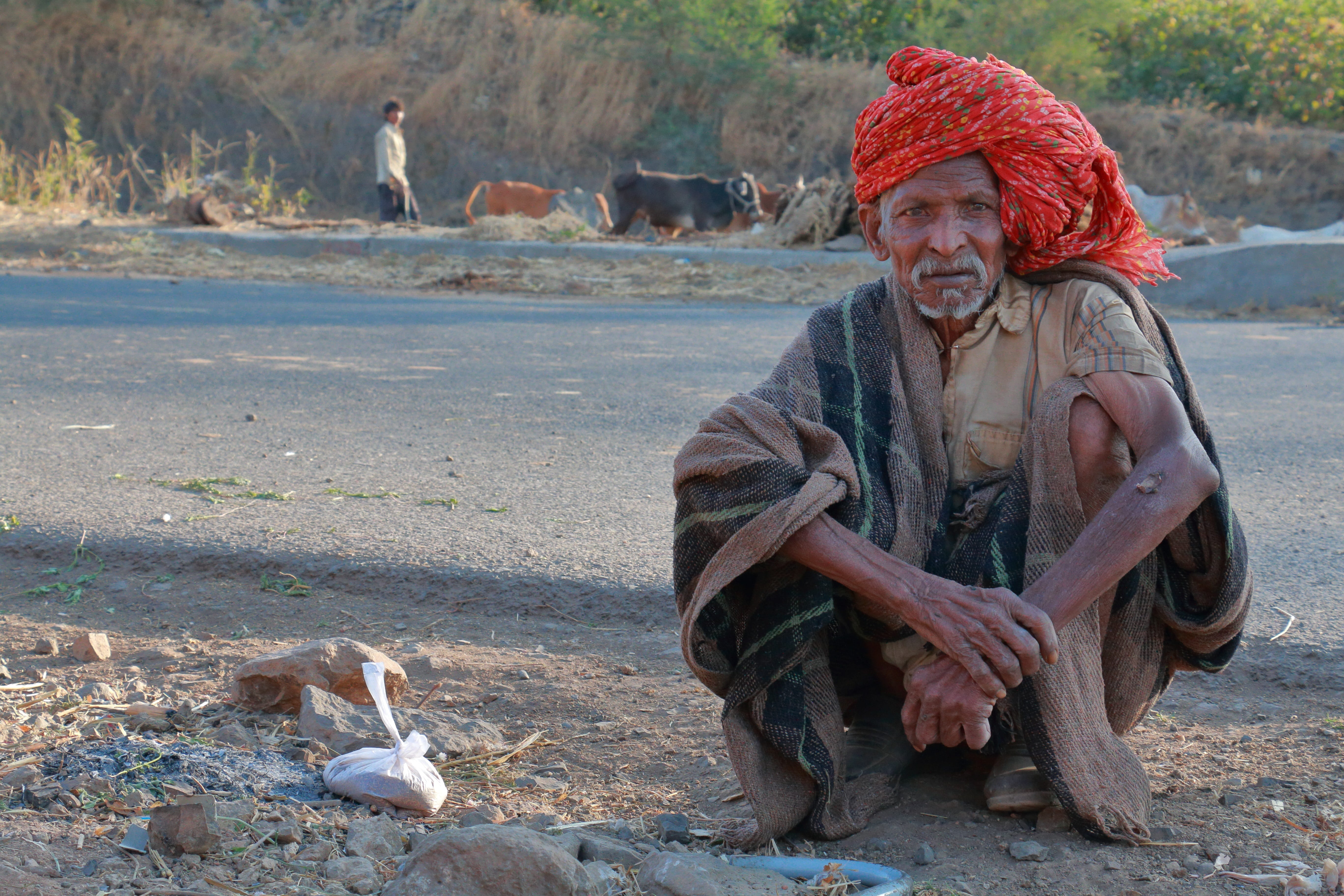 lifestyles, mammal, sitting, herder, roadside, domestic animals, social issues, one person, males, adult, madhya pradesh, nature, 5K, india, looking at camera, HD Wallpaper