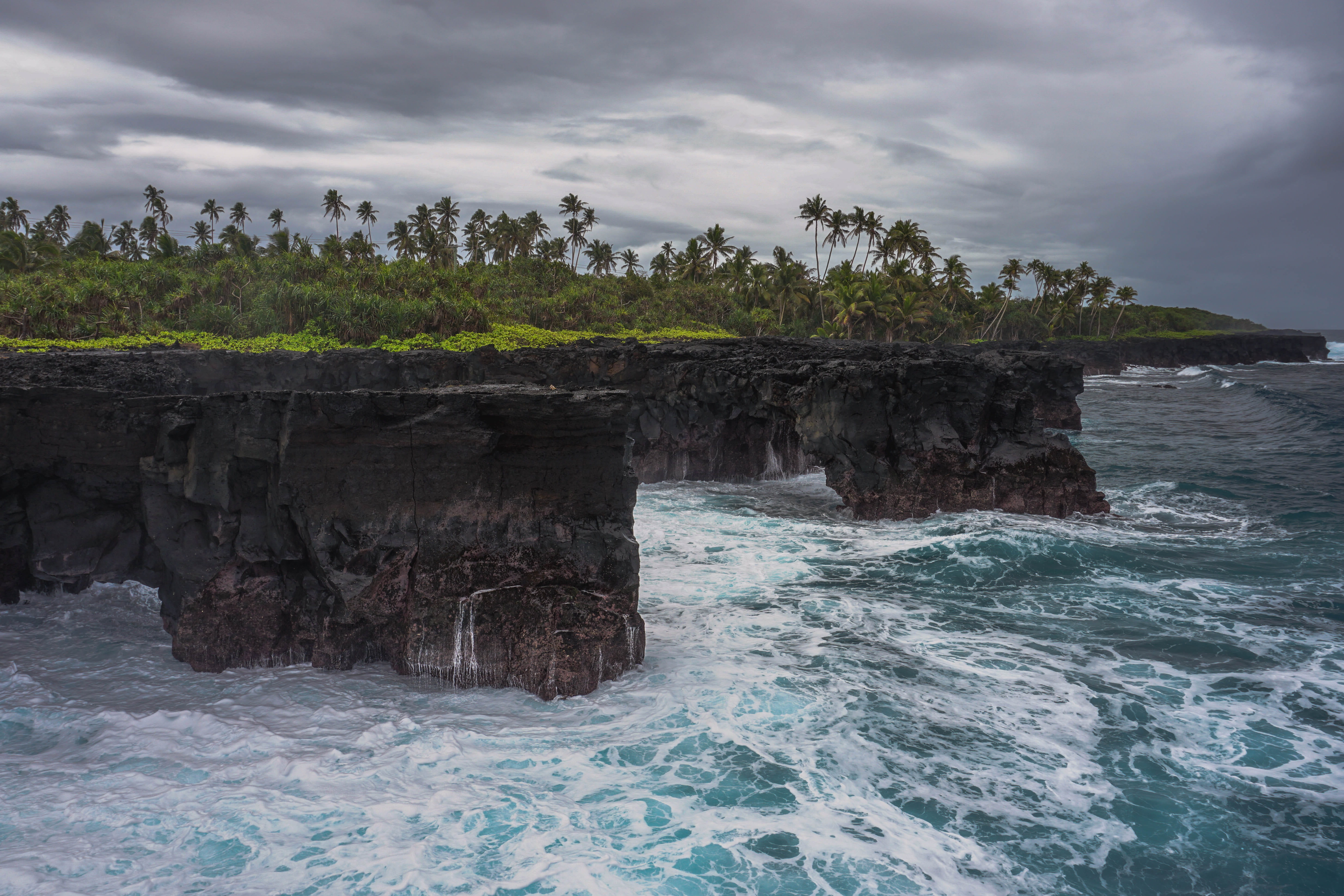 limestone, solid, nature, eroded, urban, island, rock, rock formation, beach, day, coast, scenery, non-urban scene, 5K, arch, tree, motion, sea waves, HD Wallpaper